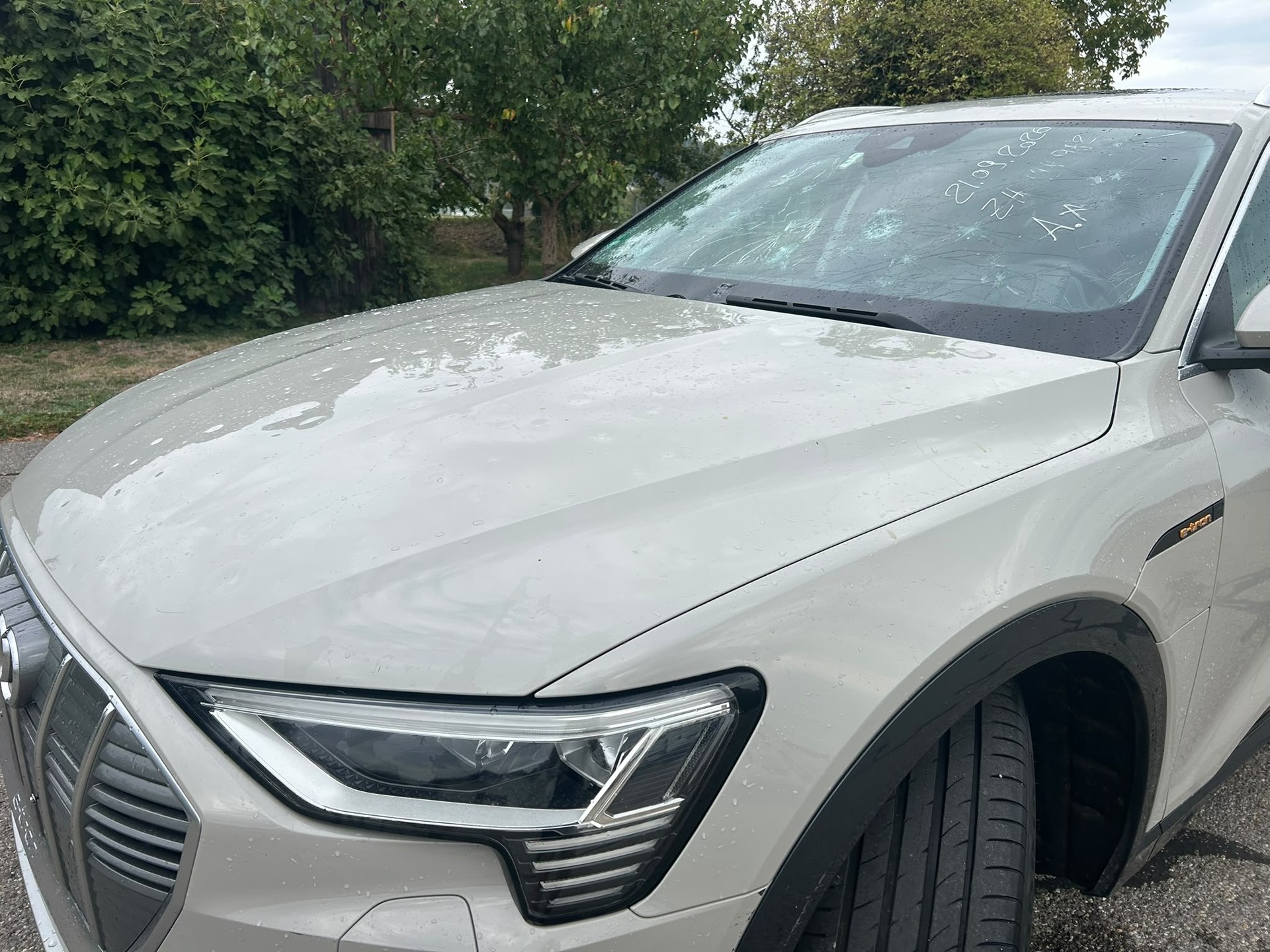 AUDI e-tron 55 quattro-image-5