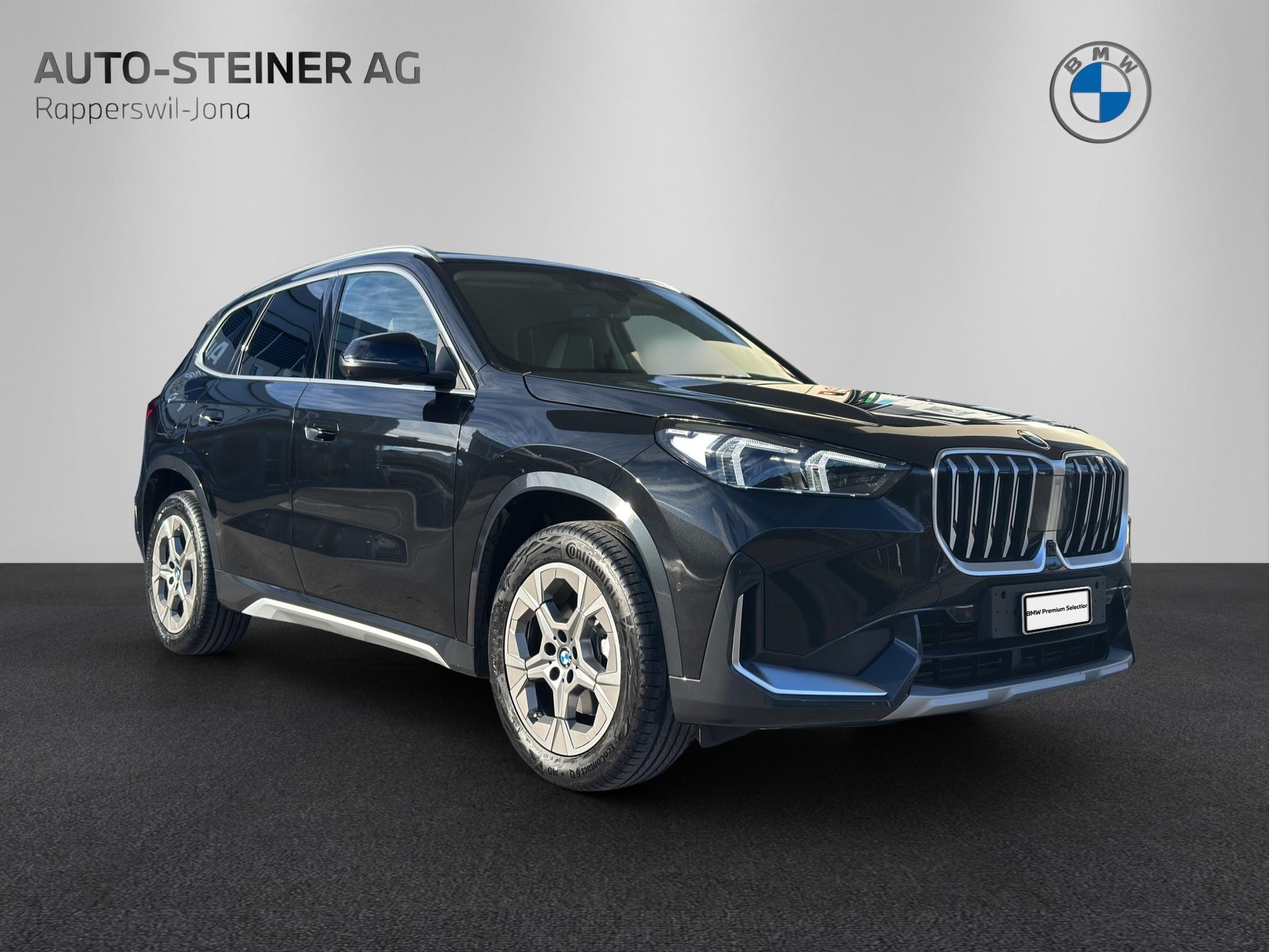 BMW X1 20d xDrive-image-6