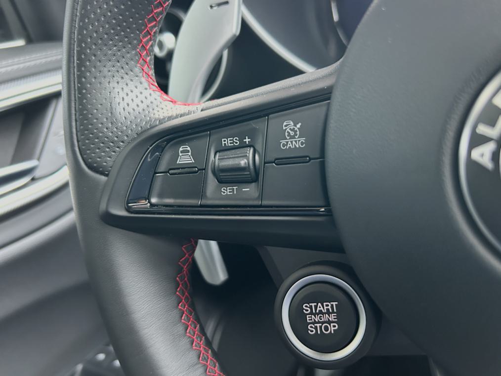 ALFA ROMEO Giulia 2.0 Competizione Q4-image-7