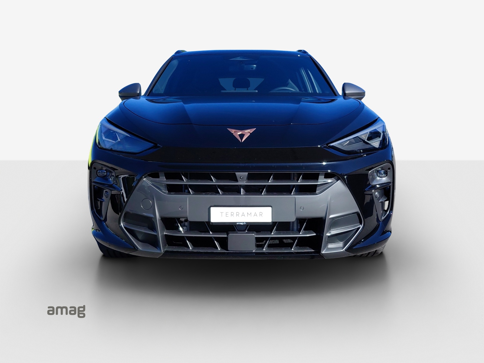 CUPRA Terramar 1.5 eHybrid Prime Edition DSG-image-6