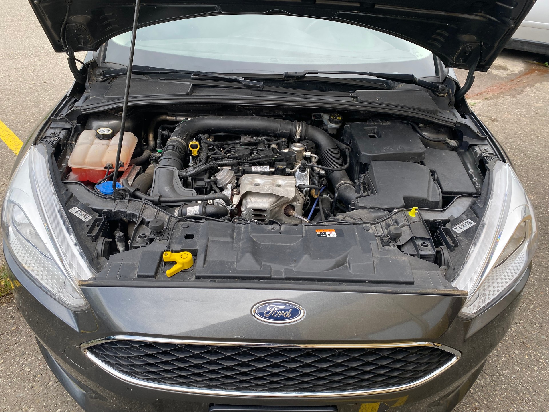 FORD Focus 1.0 SCTi Sync Edition Automatic-image-6