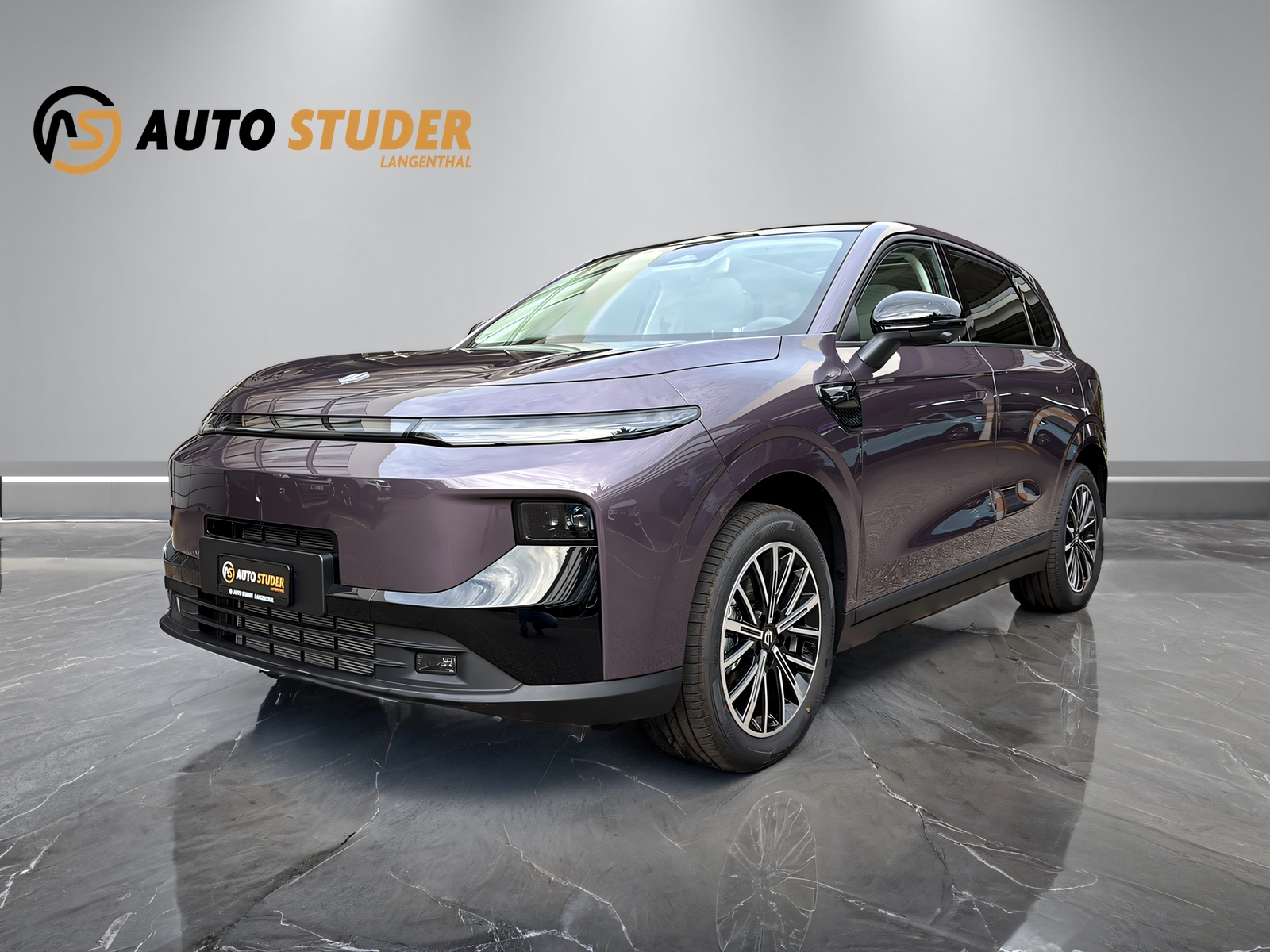 LEAPMOTOR B10 Hybrid EV-showroom-element-1