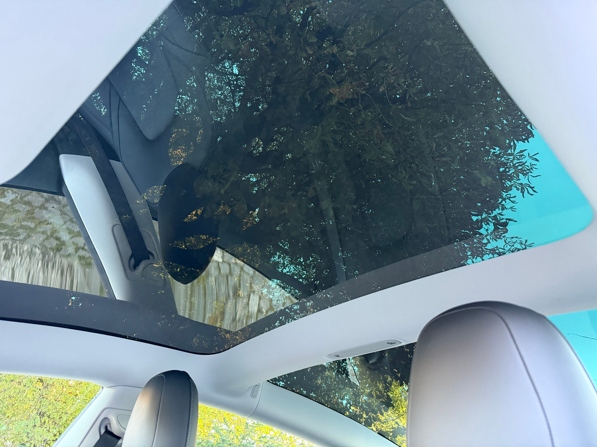 TESLA Model 3 SR Plus / CH-Fahrzeug / Frisch ab MFK / 96 Monate Werksgarantie / Autopilot / Wärmepumpe / LED / Panorama-image-12