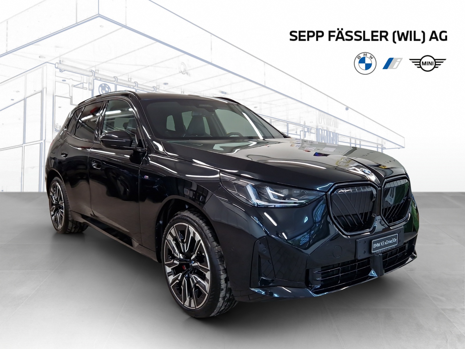 BMW X3 xDrive 30e M Sport Pro-image-7