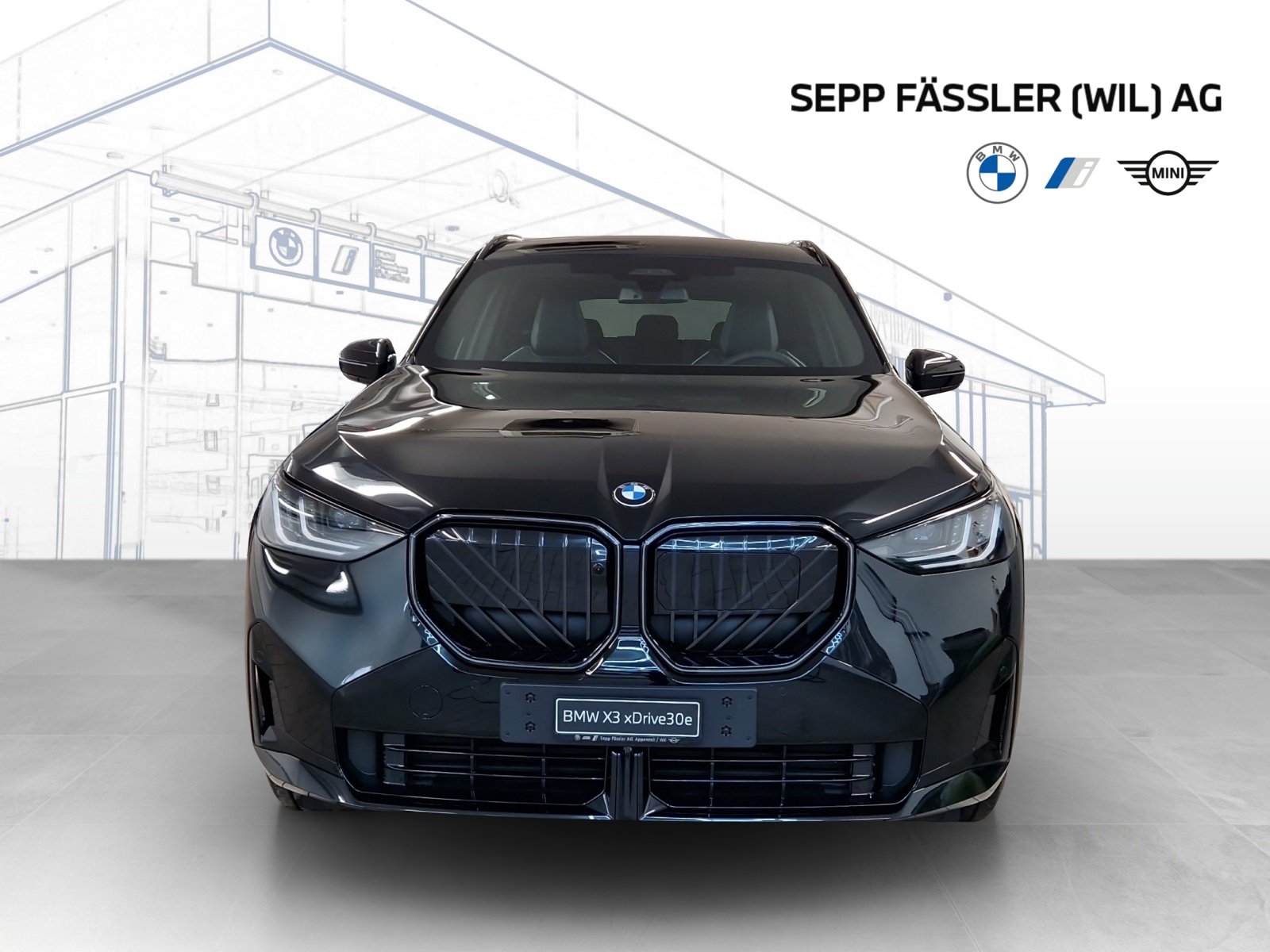 BMW X3 xDrive 30e M Sport Pro-image-8