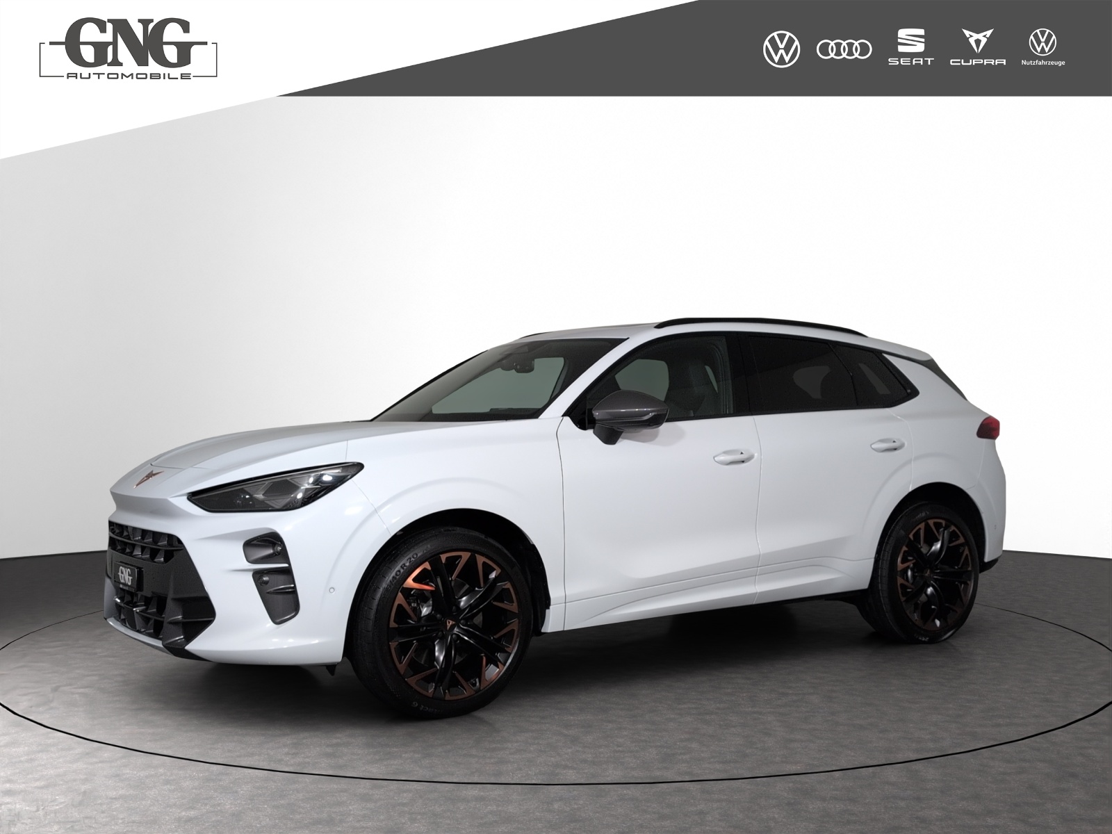CUPRA Terramar 2.0 TSI DSG Prime Edition VZ 4Drive-image-0