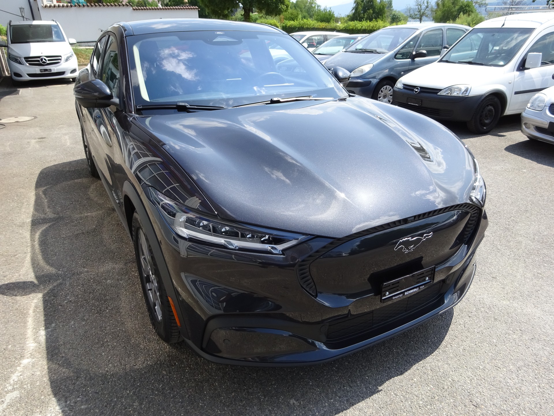 FORD Mustang MACH-E RWD 99 kWh-image-3