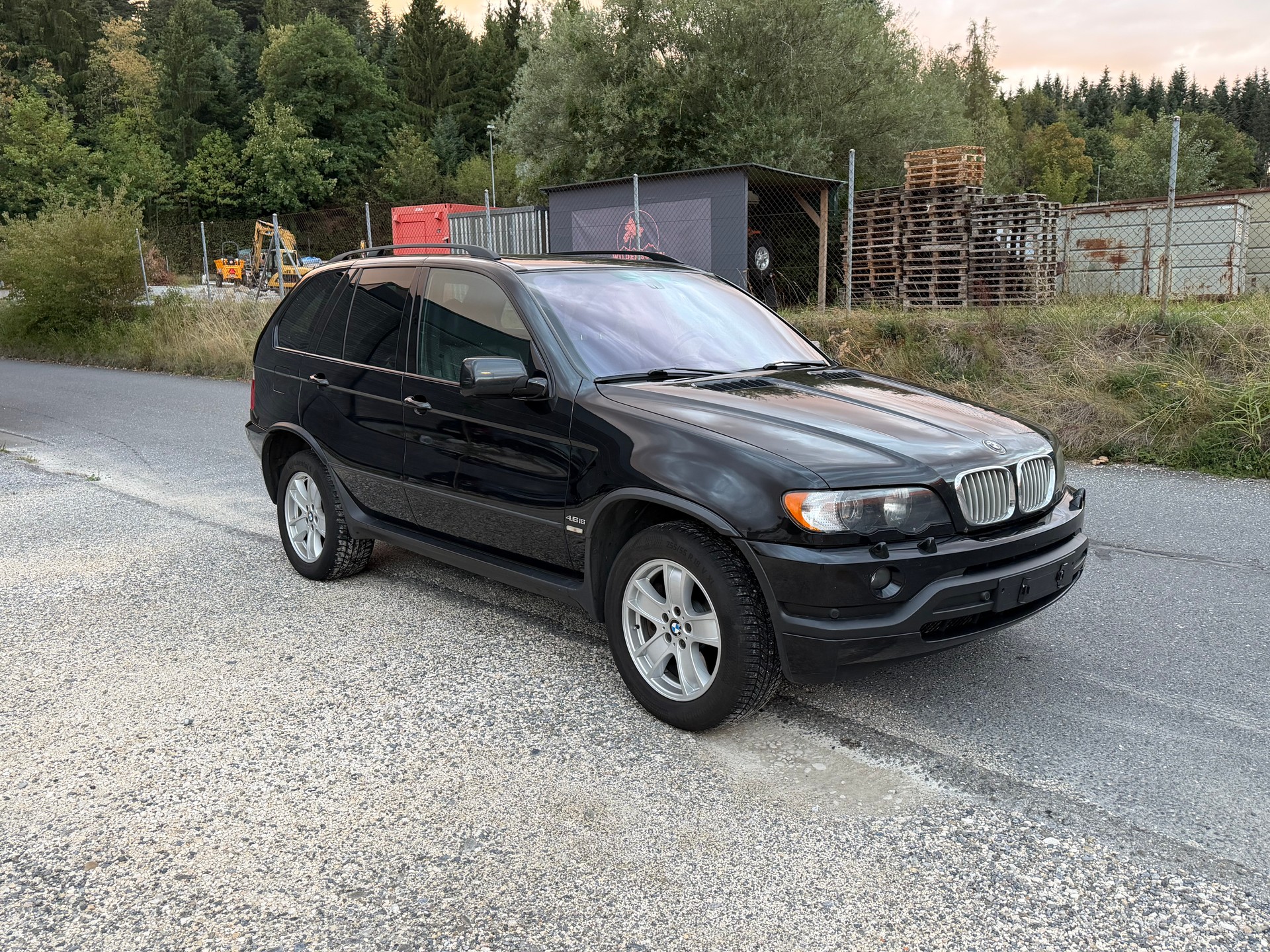BMW X5 4.6is-image-6