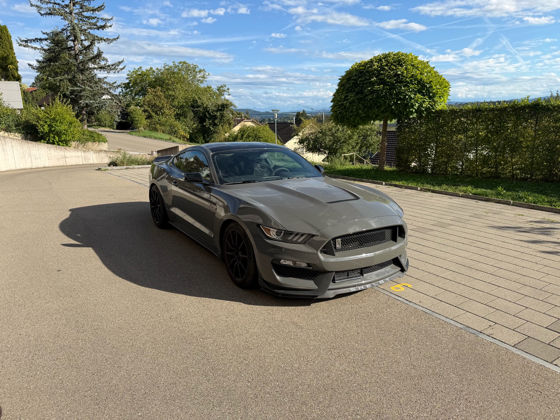 FORD GT350-image-0