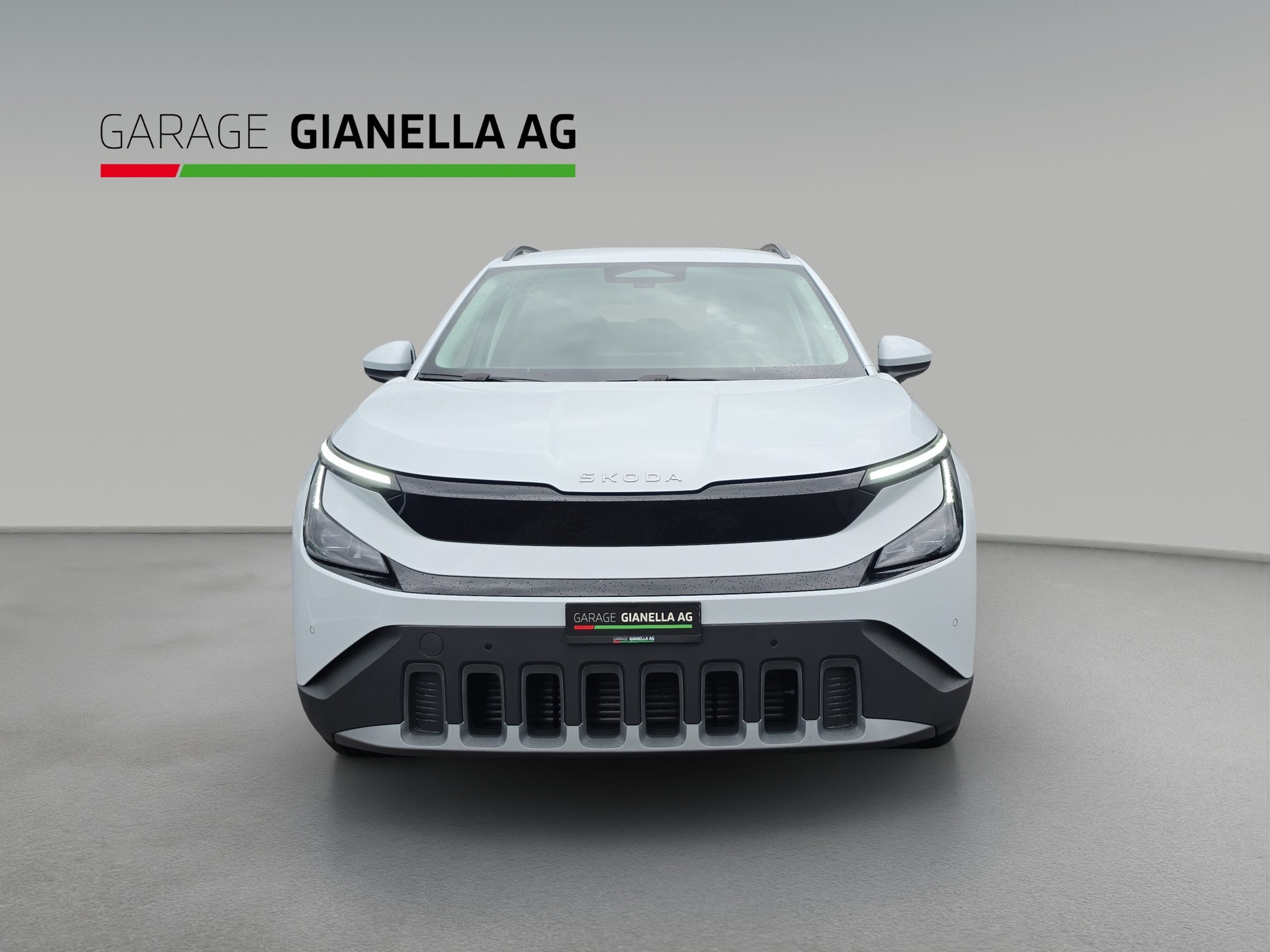SKODA Epiq 55 Selection-showroom-element-3