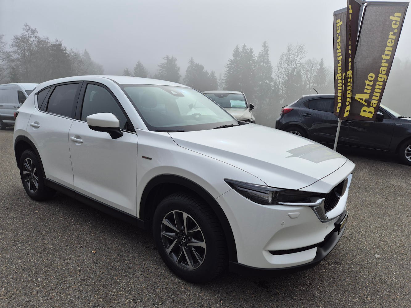 MAZDA CX-5 SKYACTIV-G 194 100 TH Anniversary AWD Automat