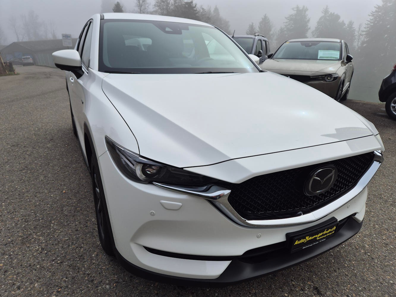 MAZDA CX-5 SKYACTIV-G 194 100 TH Anniversary AWD Automat-image-1