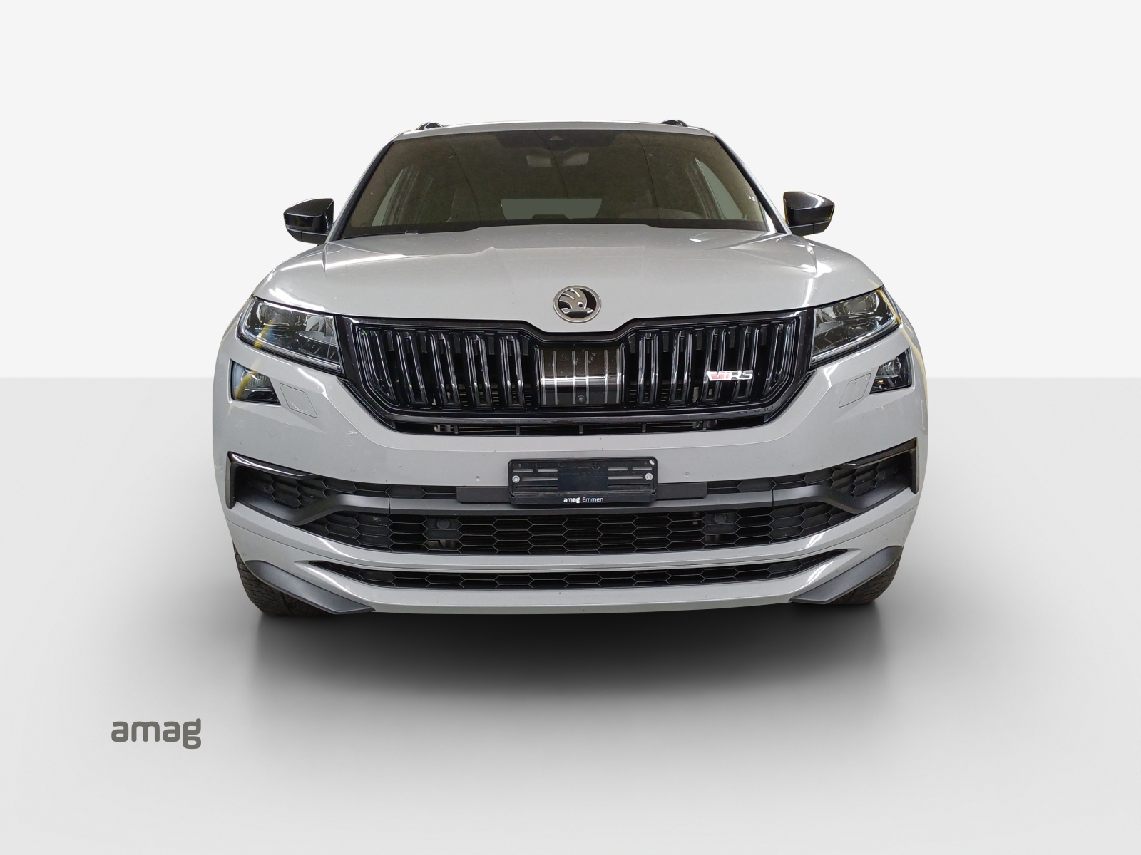 SKODA Kodiaq 2.0 Bi-TDI SCR RS 4x4 DSG-image-6