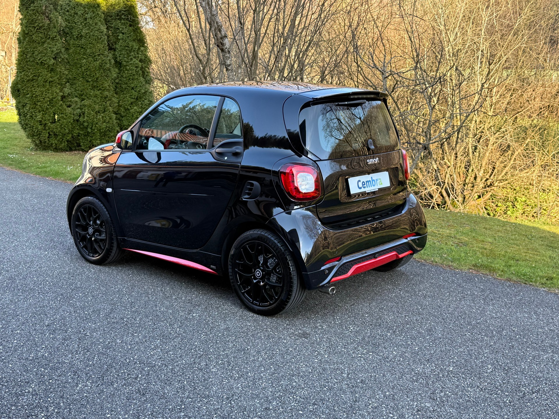 SMART fortwo prime twinmatic-image-2