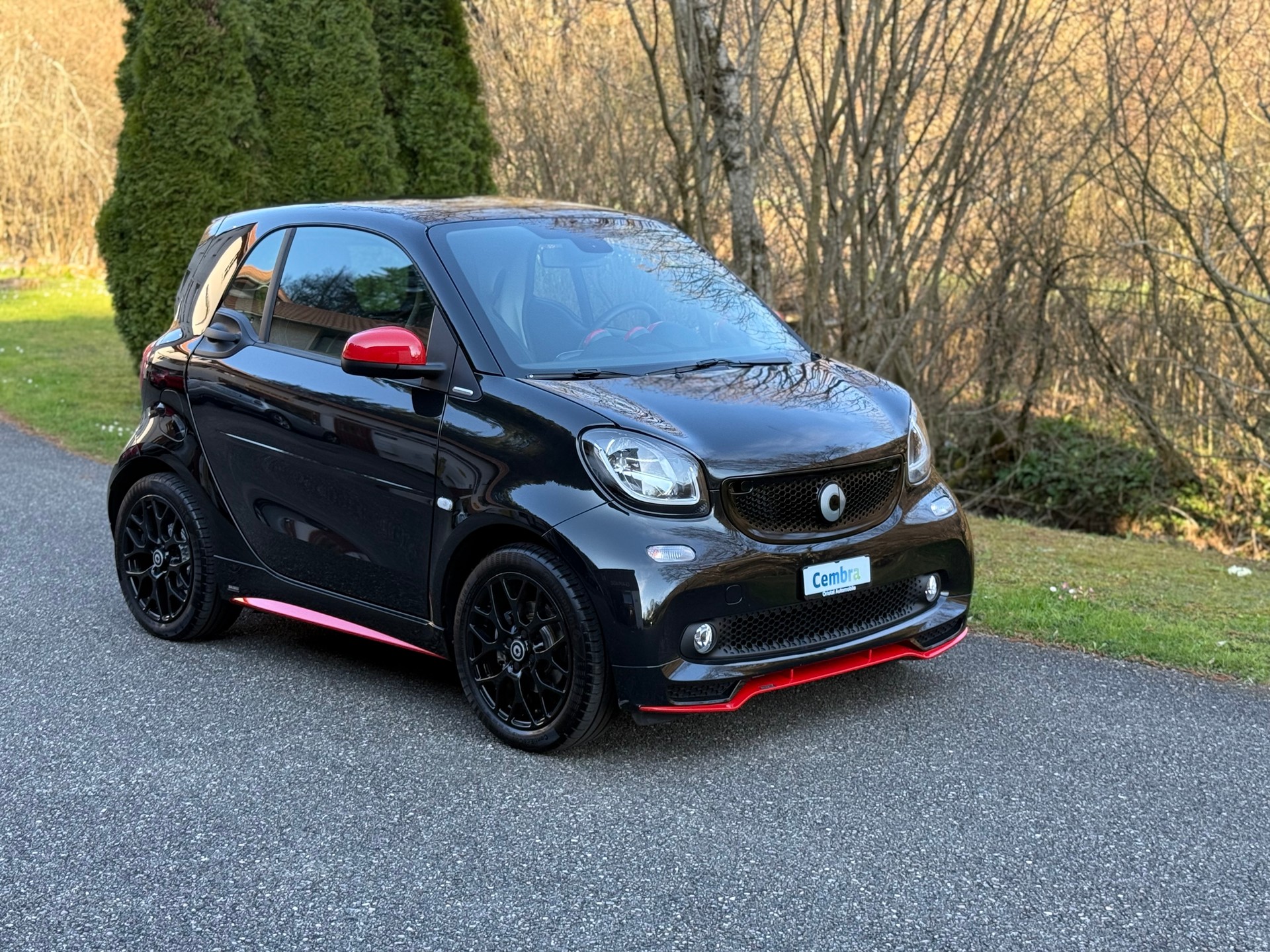 SMART fortwo prime twinmatic-image-4