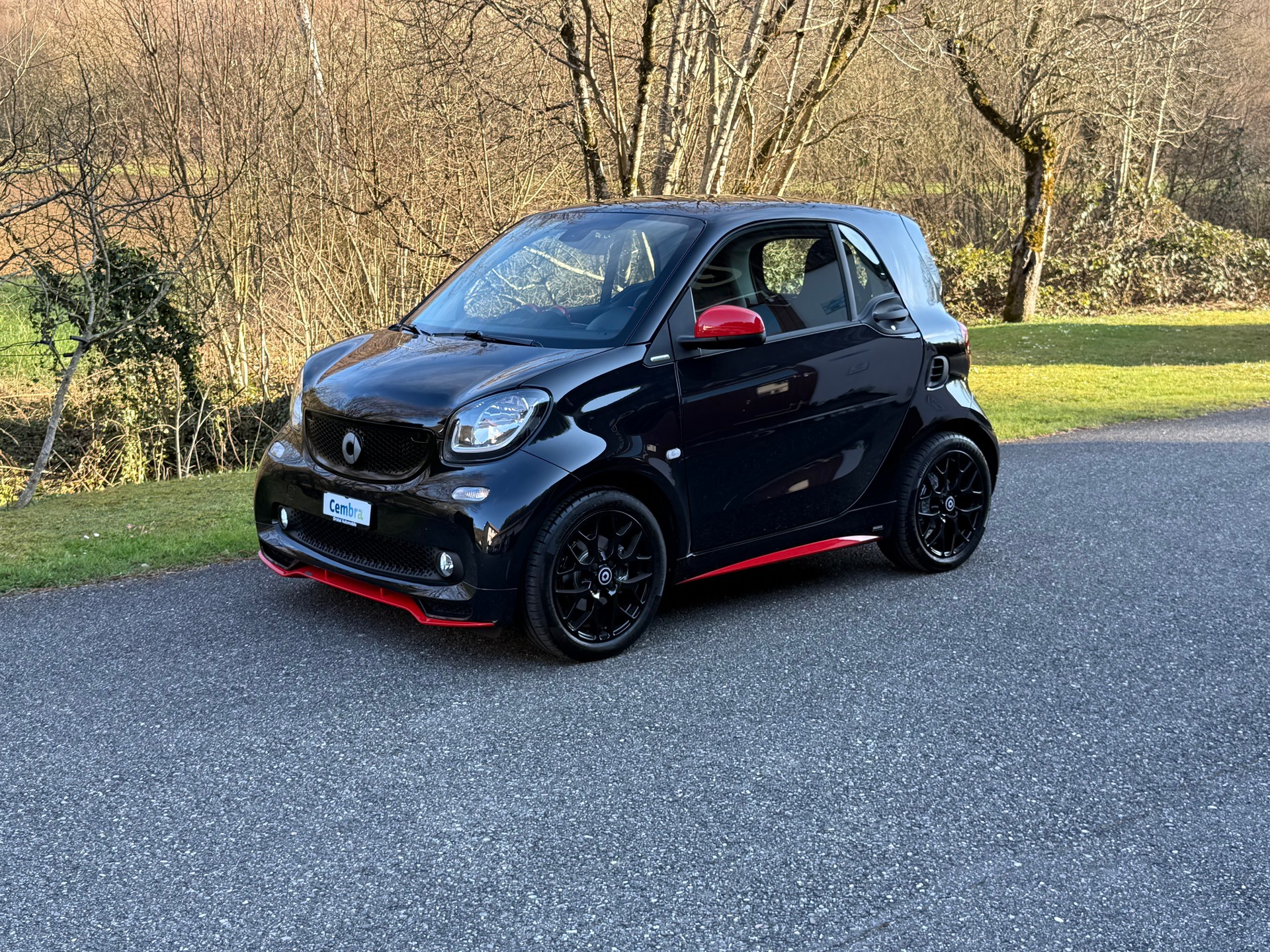 SMART fortwo prime twinmatic-image-0