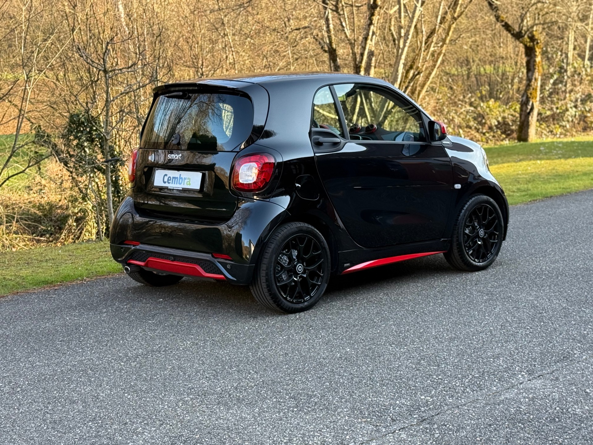 SMART fortwo prime twinmatic-image-6