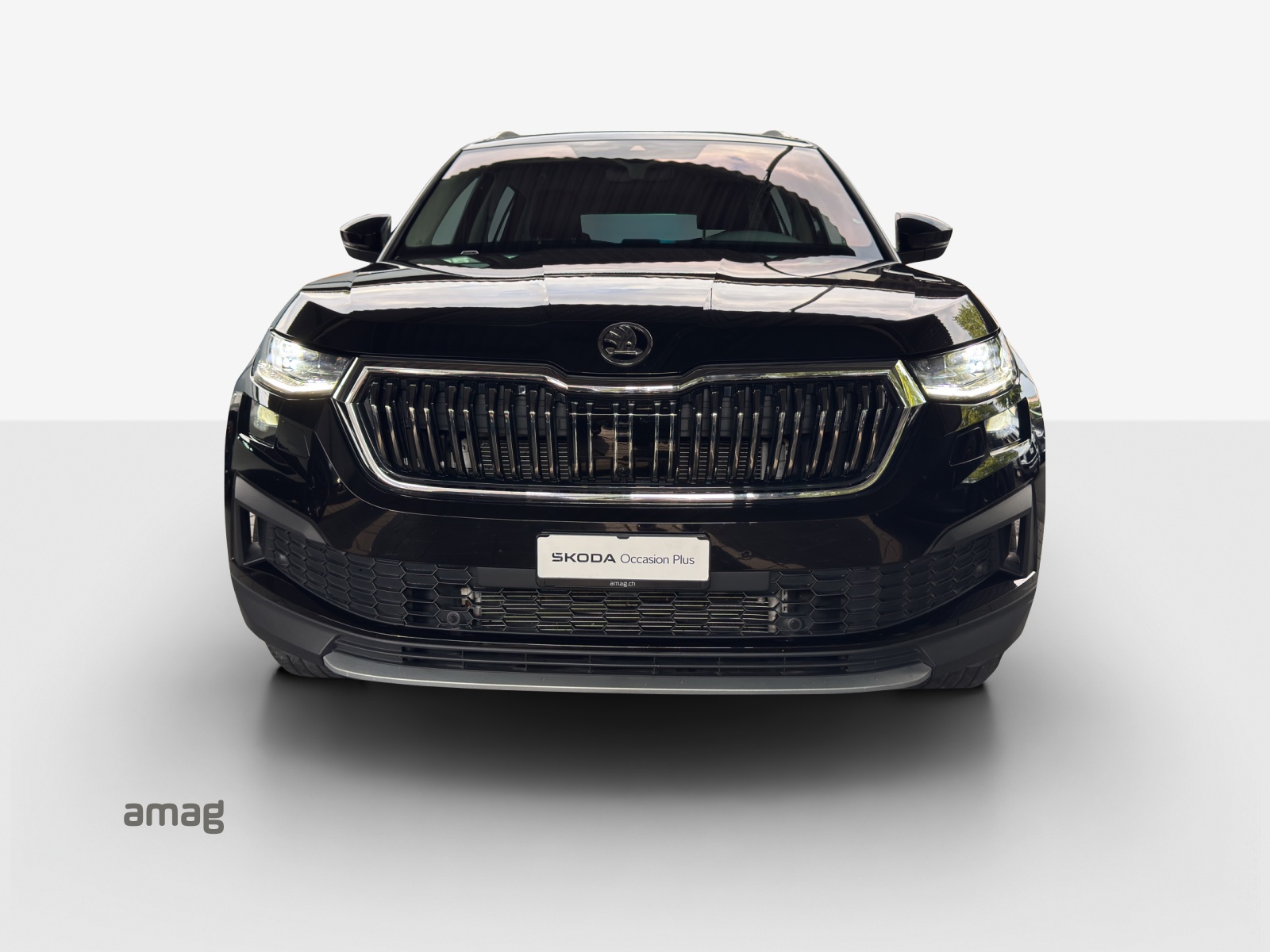SKODA Kodiaq 2.0 TDI CR Style 4x4 DSG-image-6