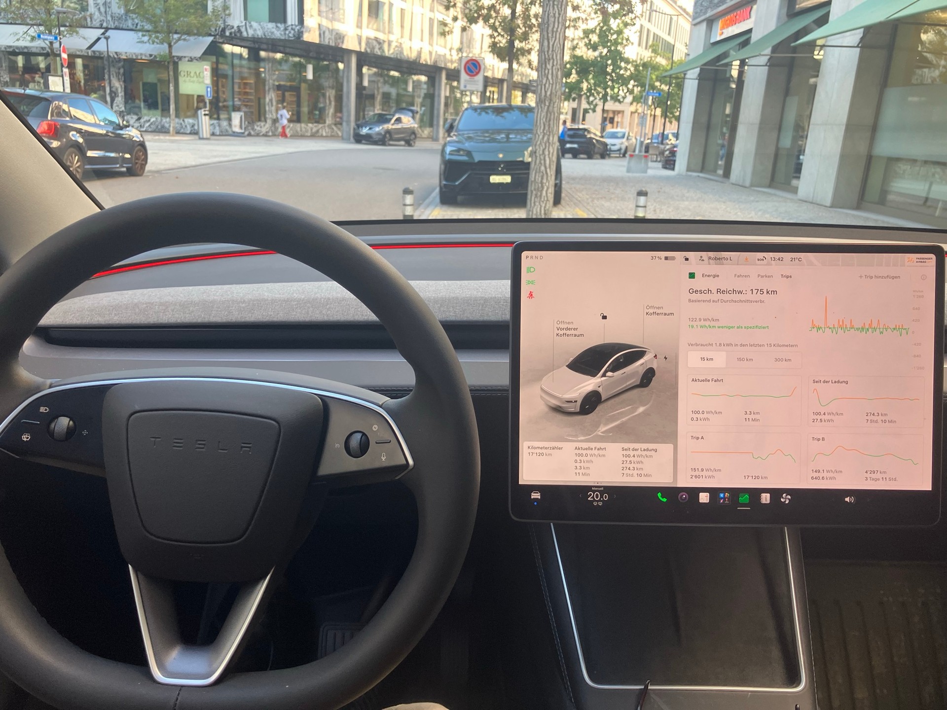 TESLA Hinterradantrieb (RWD)-image-5