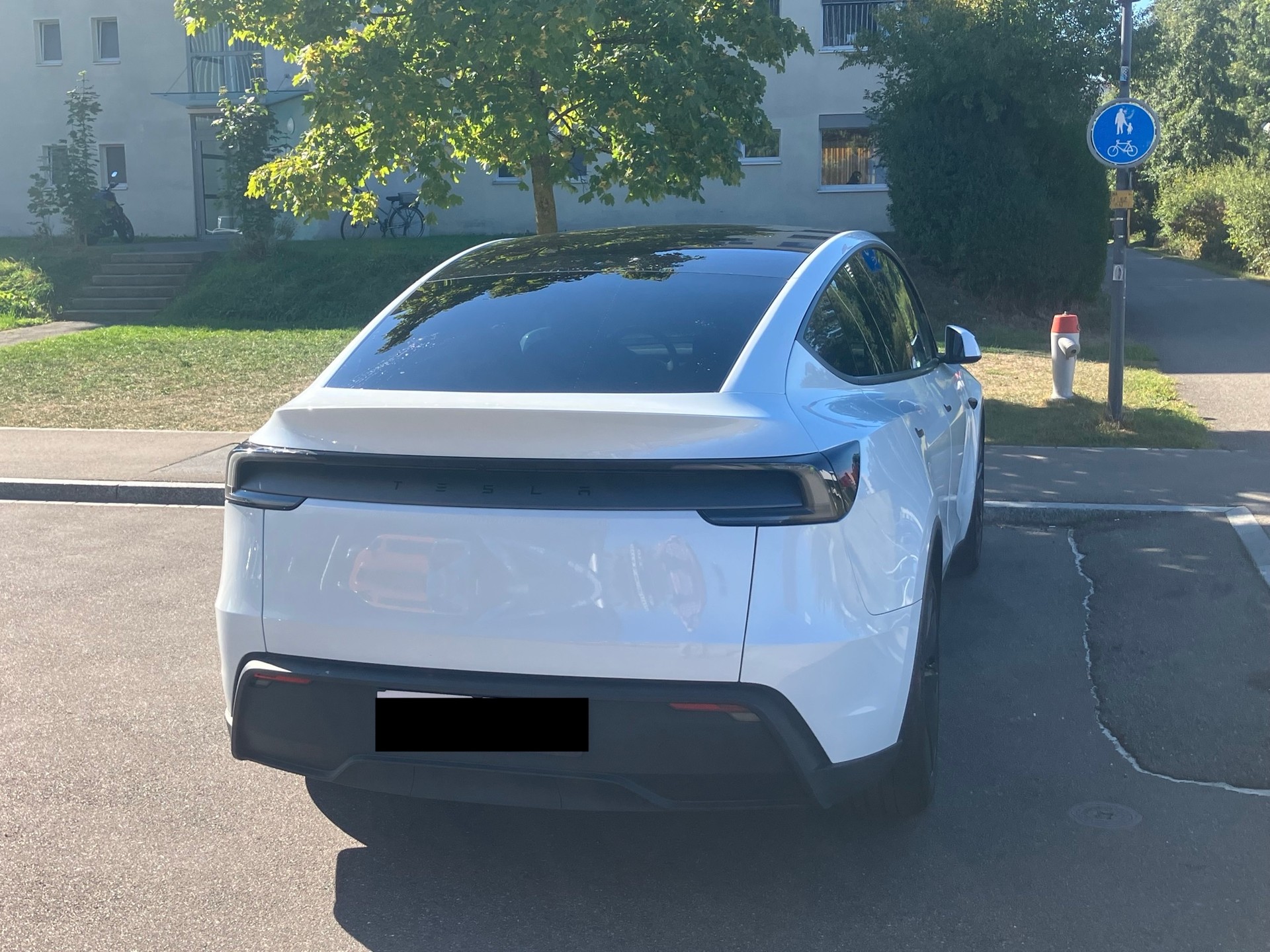 TESLA Hinterradantrieb (RWD)-image-2