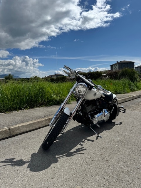 HARLEY-DAVIDSON FXCWC Rocker C-image-3