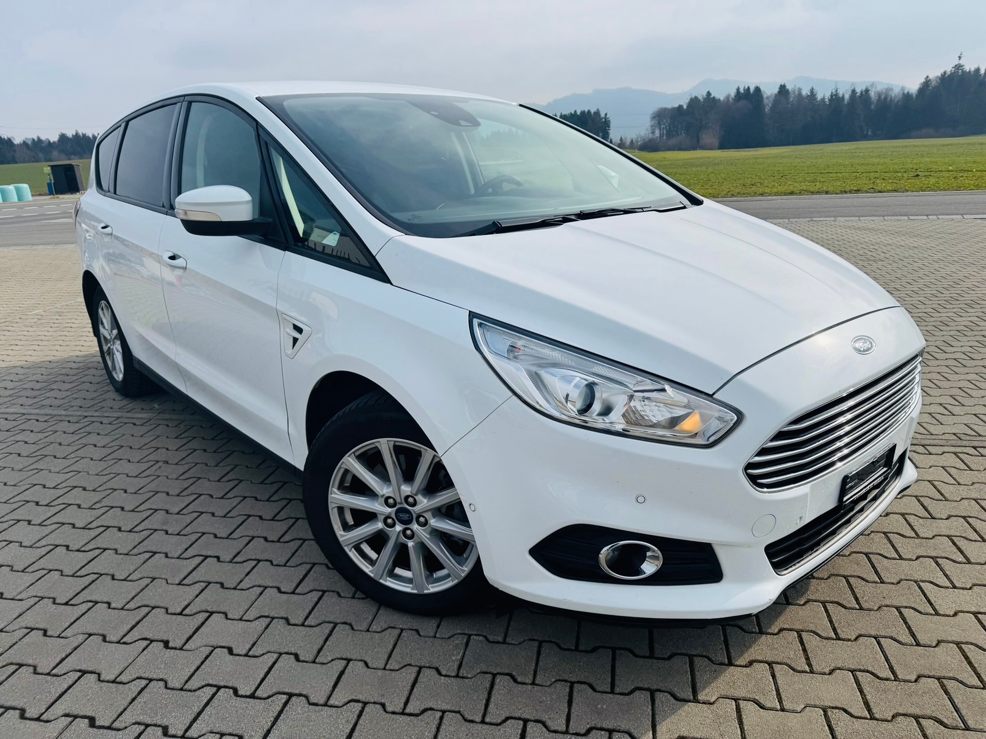 FORD S-Max 2.0 TDCi Trend Automatic-image-1