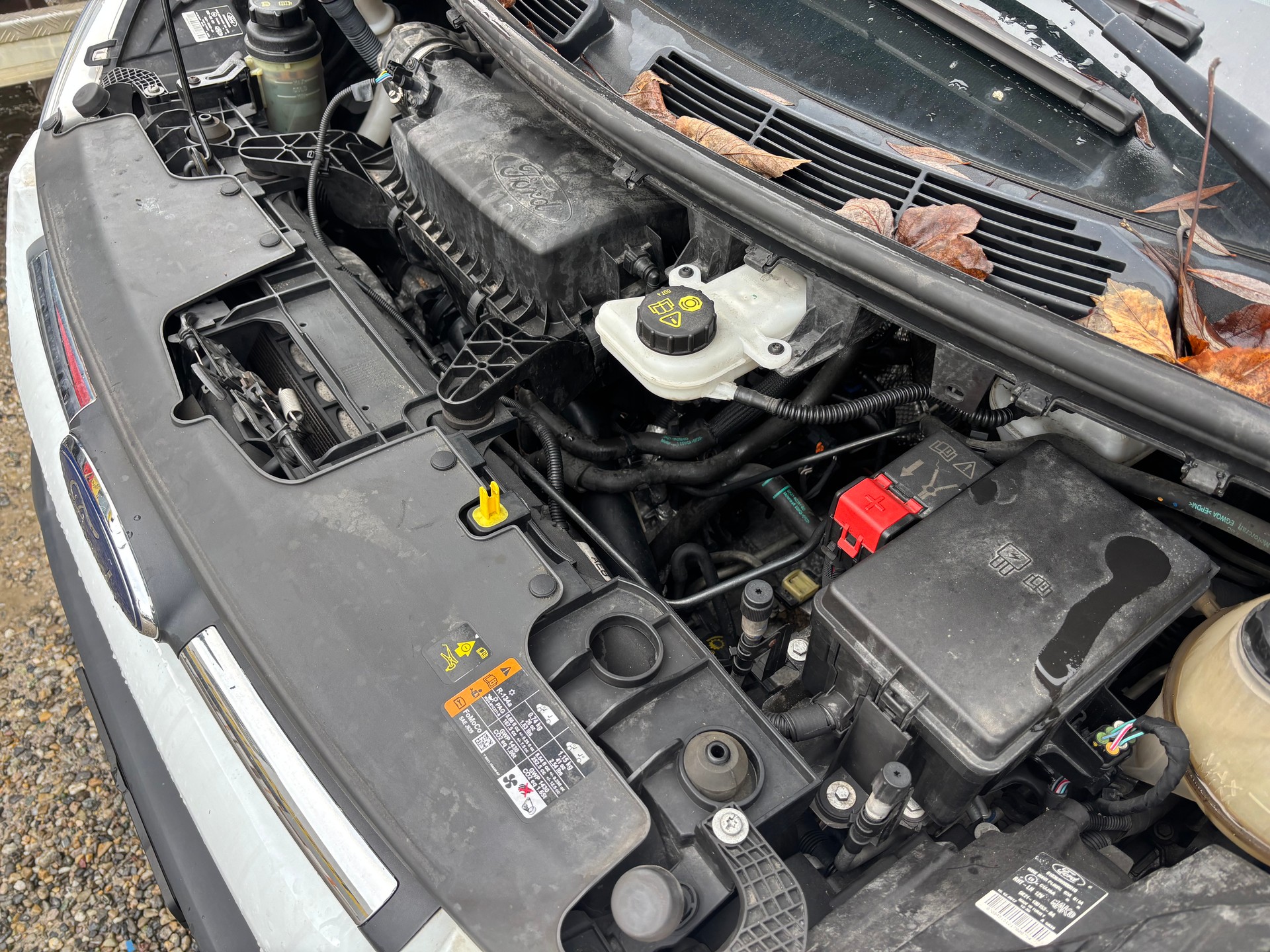 FORD Transit Custom Van 290 L1H1 Limited SelectShift A-image-14