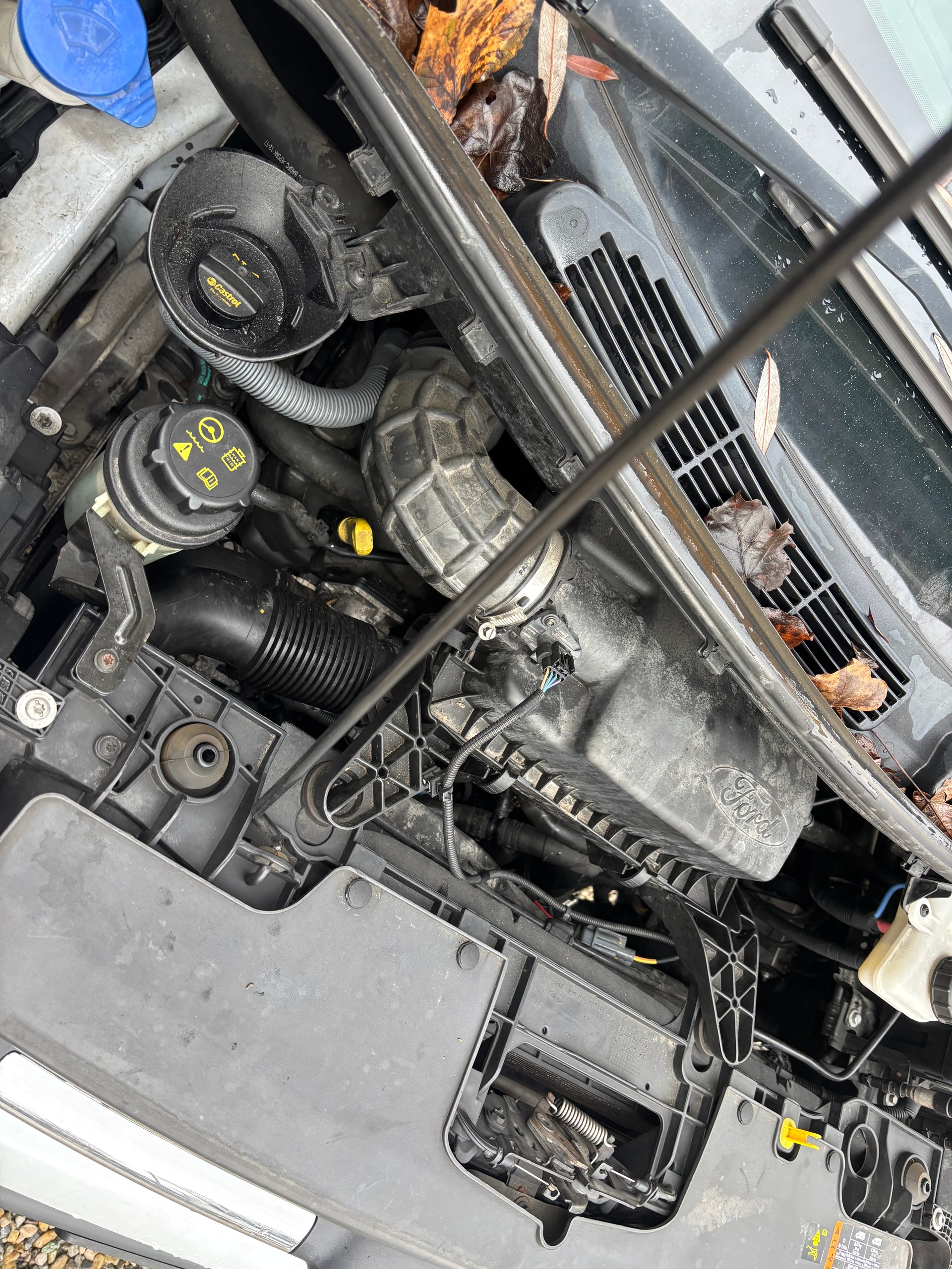 FORD Transit Custom Van 290 L1H1 Limited SelectShift A-image-15