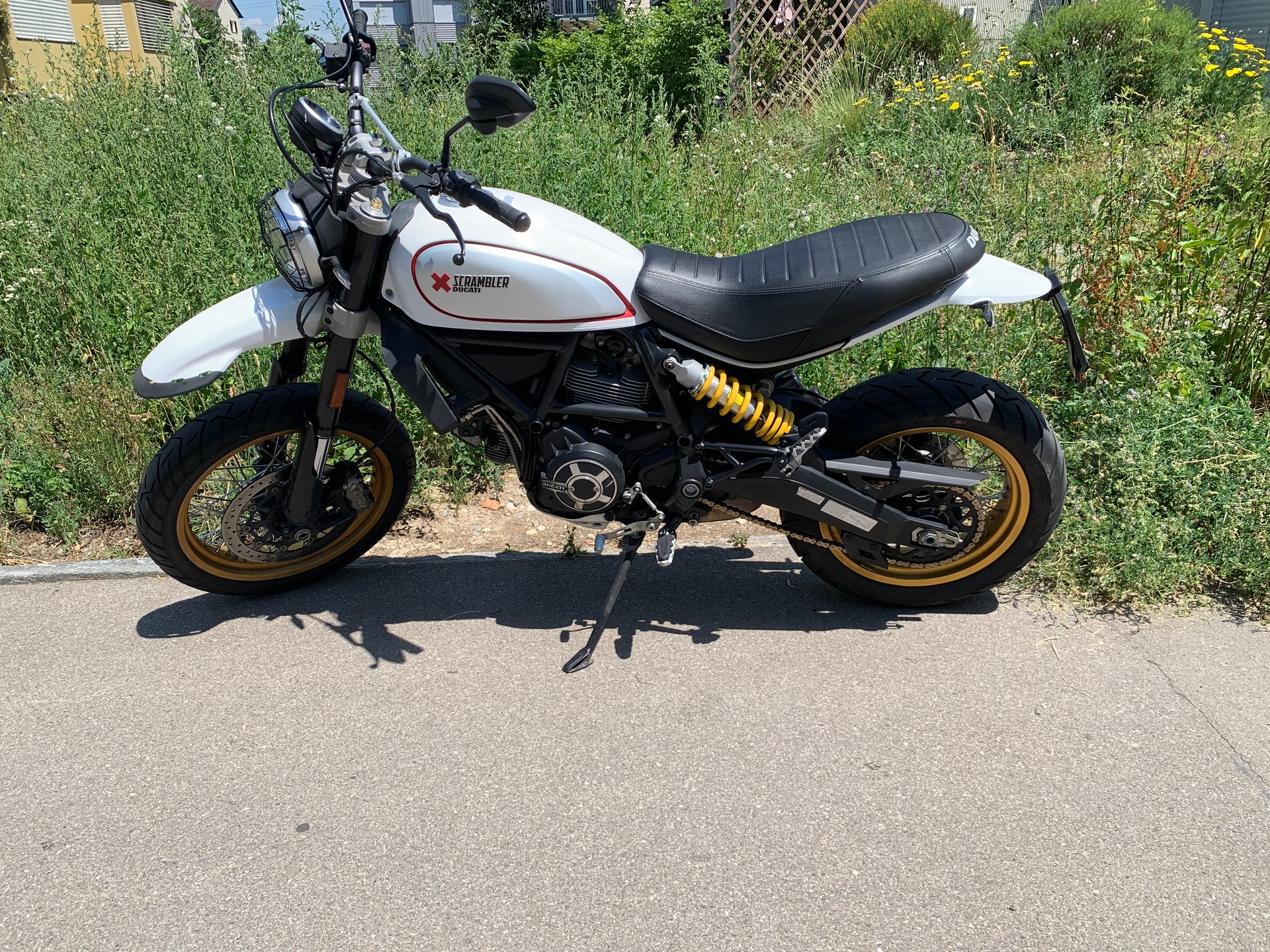 DUCATI Scrambler 800 Desert Sled mit Desmo Service