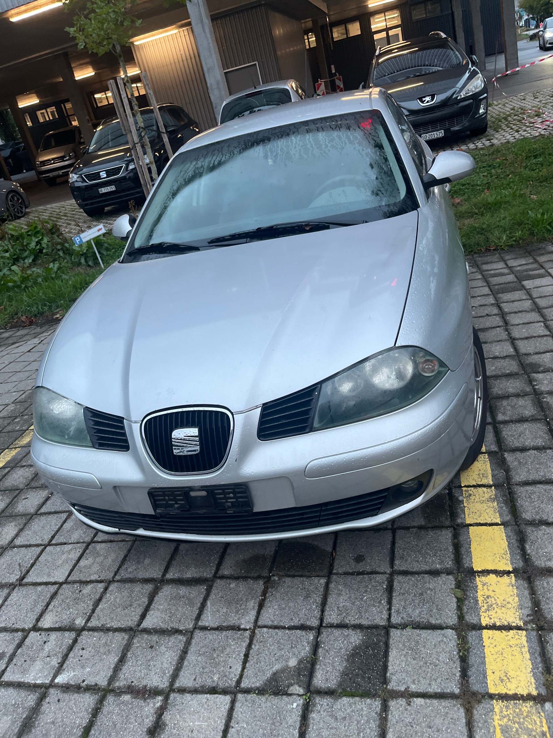 SEAT IBIZA-image-1