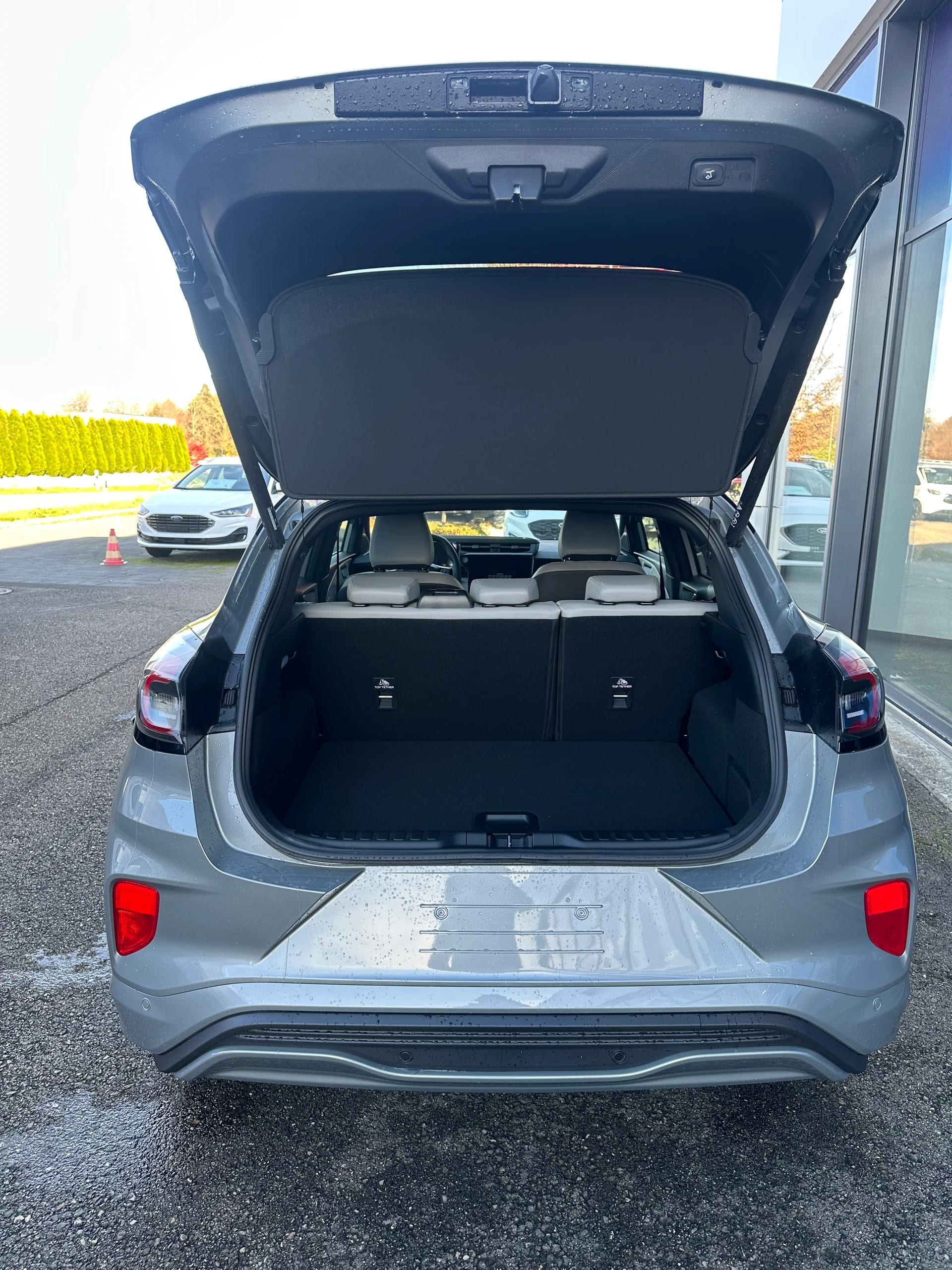 FORD Puma 1.0 EcoB Hybrid 125 Sound Sound Ed./125CV/Aut.-image-5