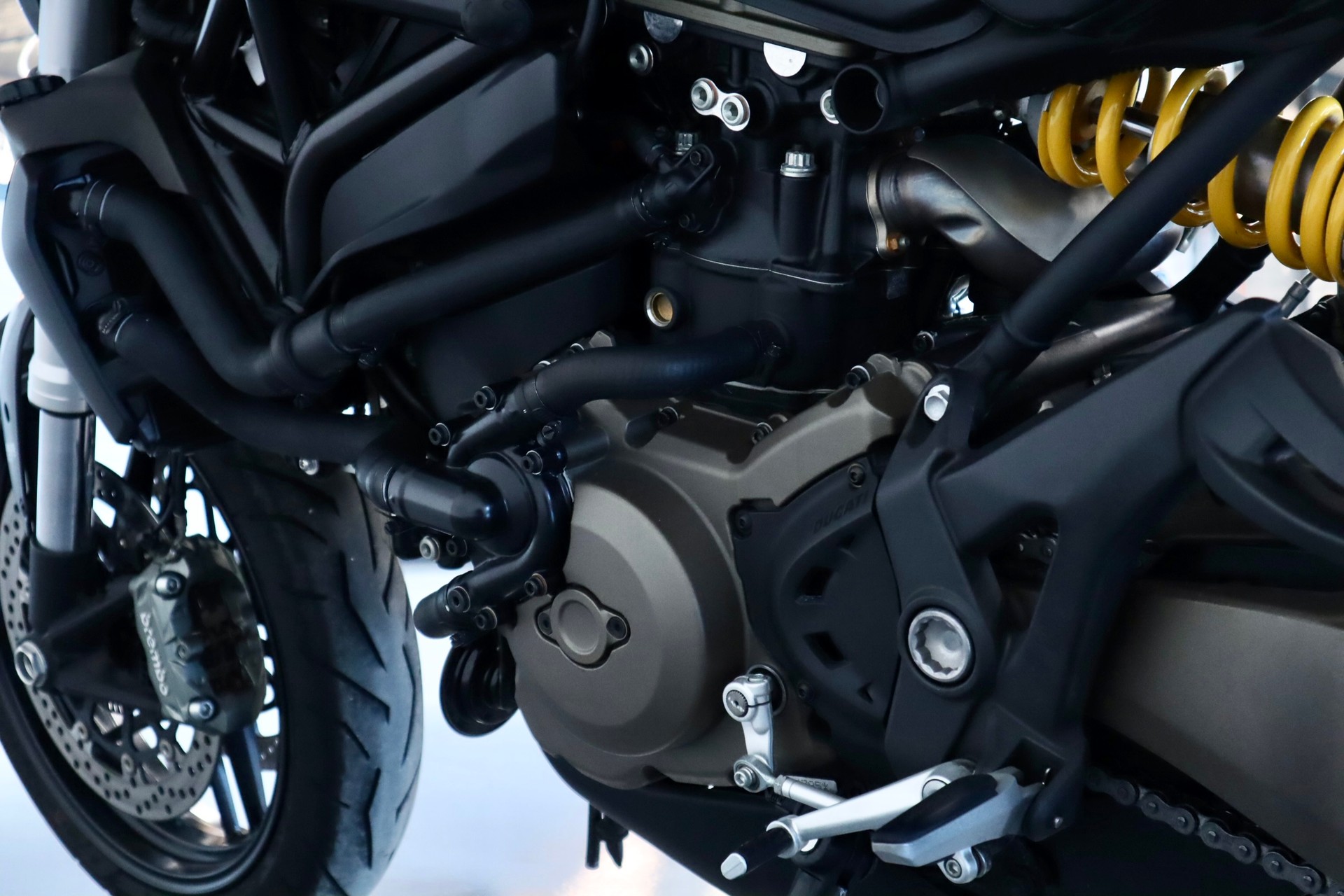 DUCATI Monster 821 | SCHWARZ MATT | TOP ZUSTAND-image-12