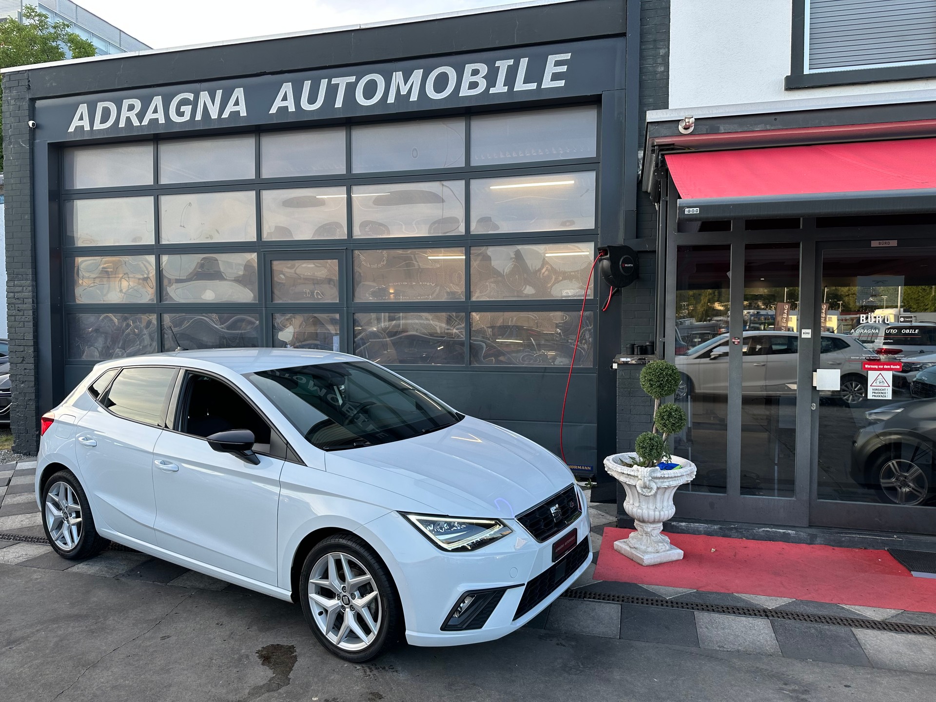 SEAT Ibiza 1.0 EcoTSI Hola FR DSG-image-1