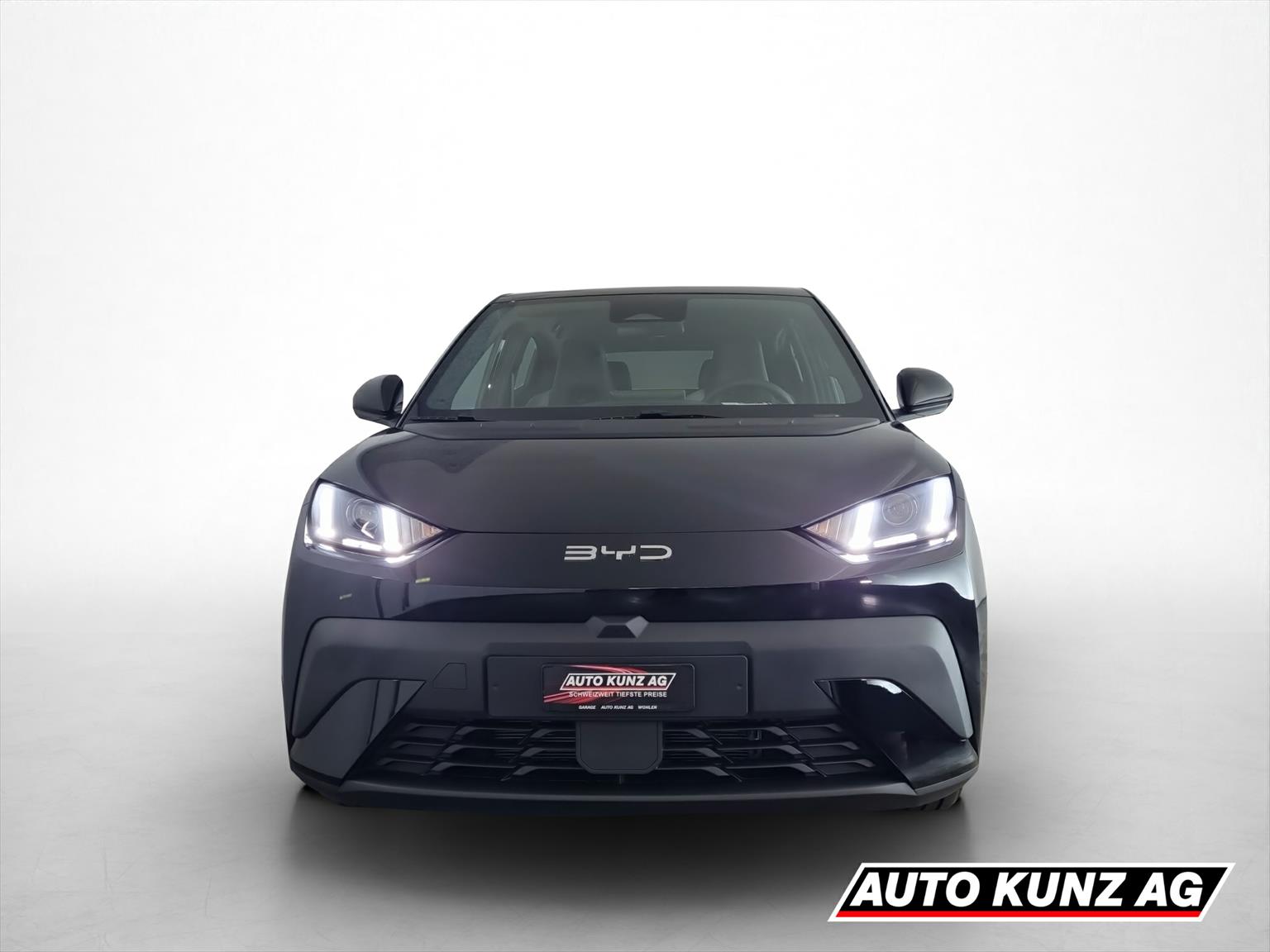 BYD Dolphin Surf 43 kWh Boost-image-1