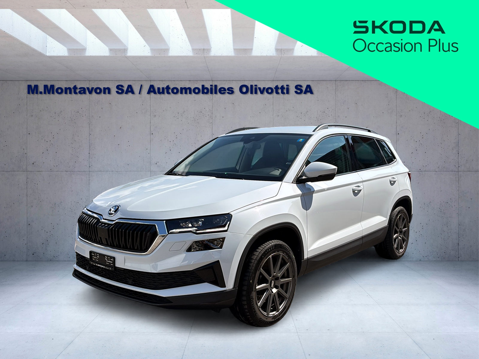SKODA Karoq 1.5 TSI Style DSG-image-1