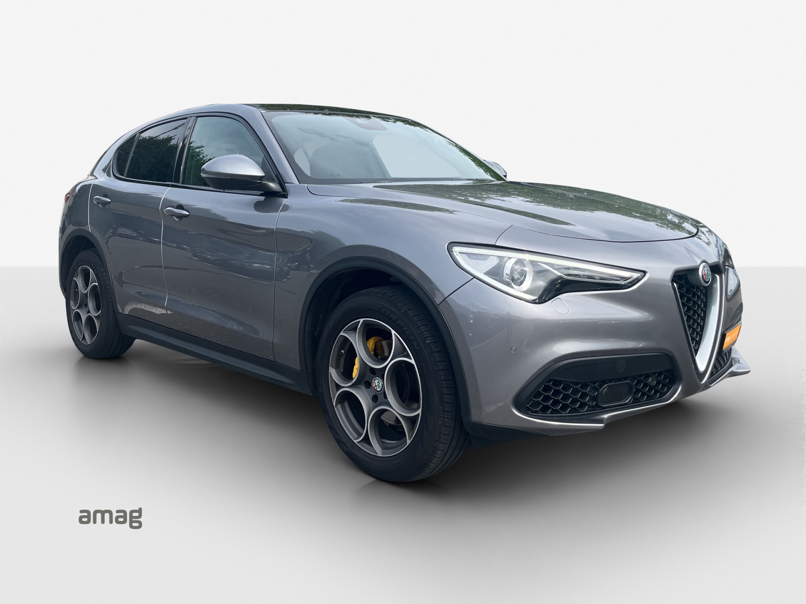 ALFA ROMEO Stelvio 2.0 Super Q4 Automatic-image-5