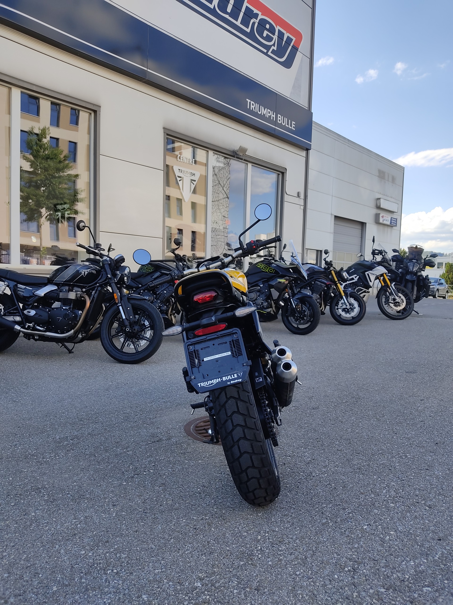 TRIUMPH TRACKER-image-4