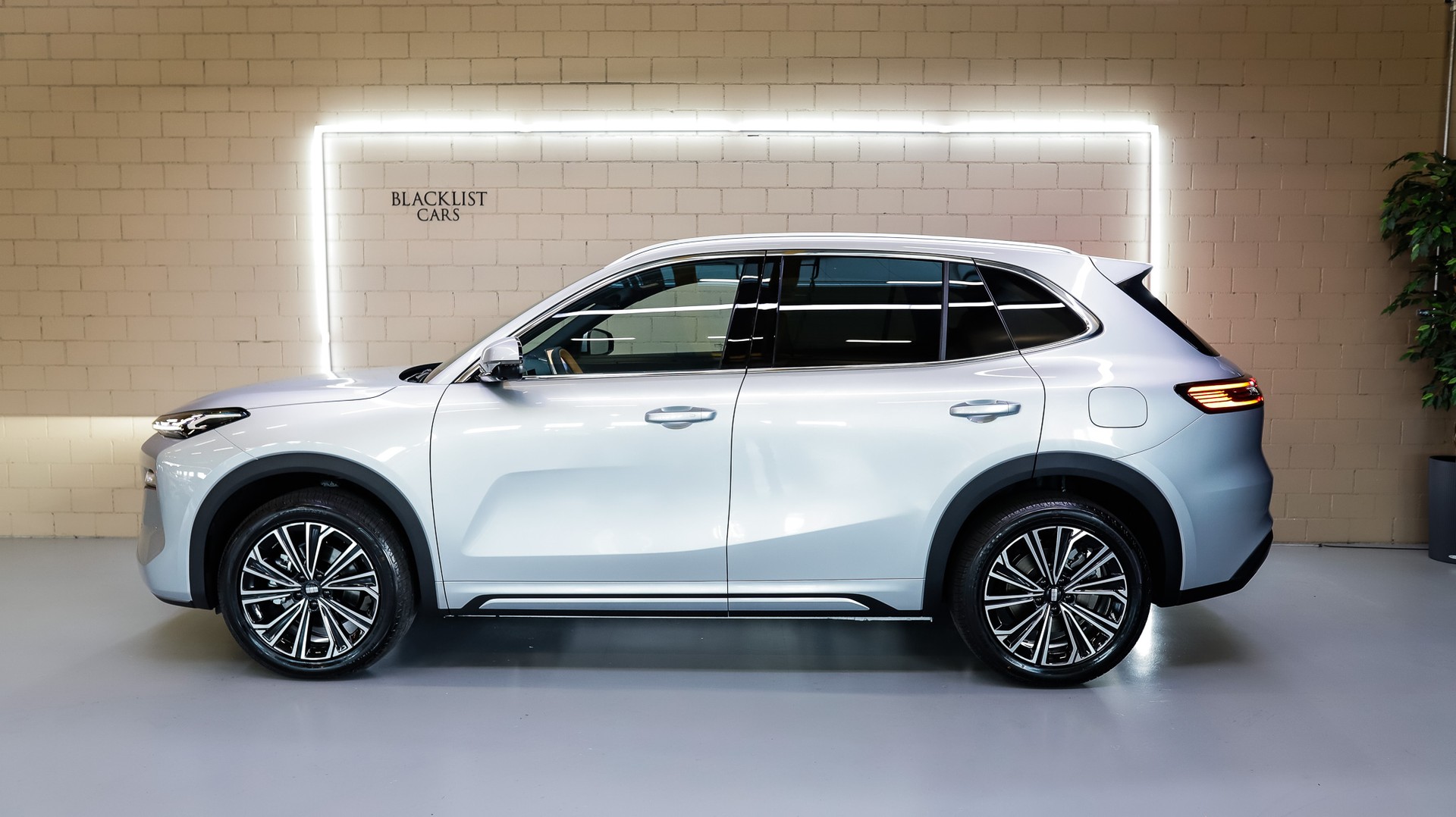 GEELY Starray EM-i MAX + PHEV *Silver*-image-2