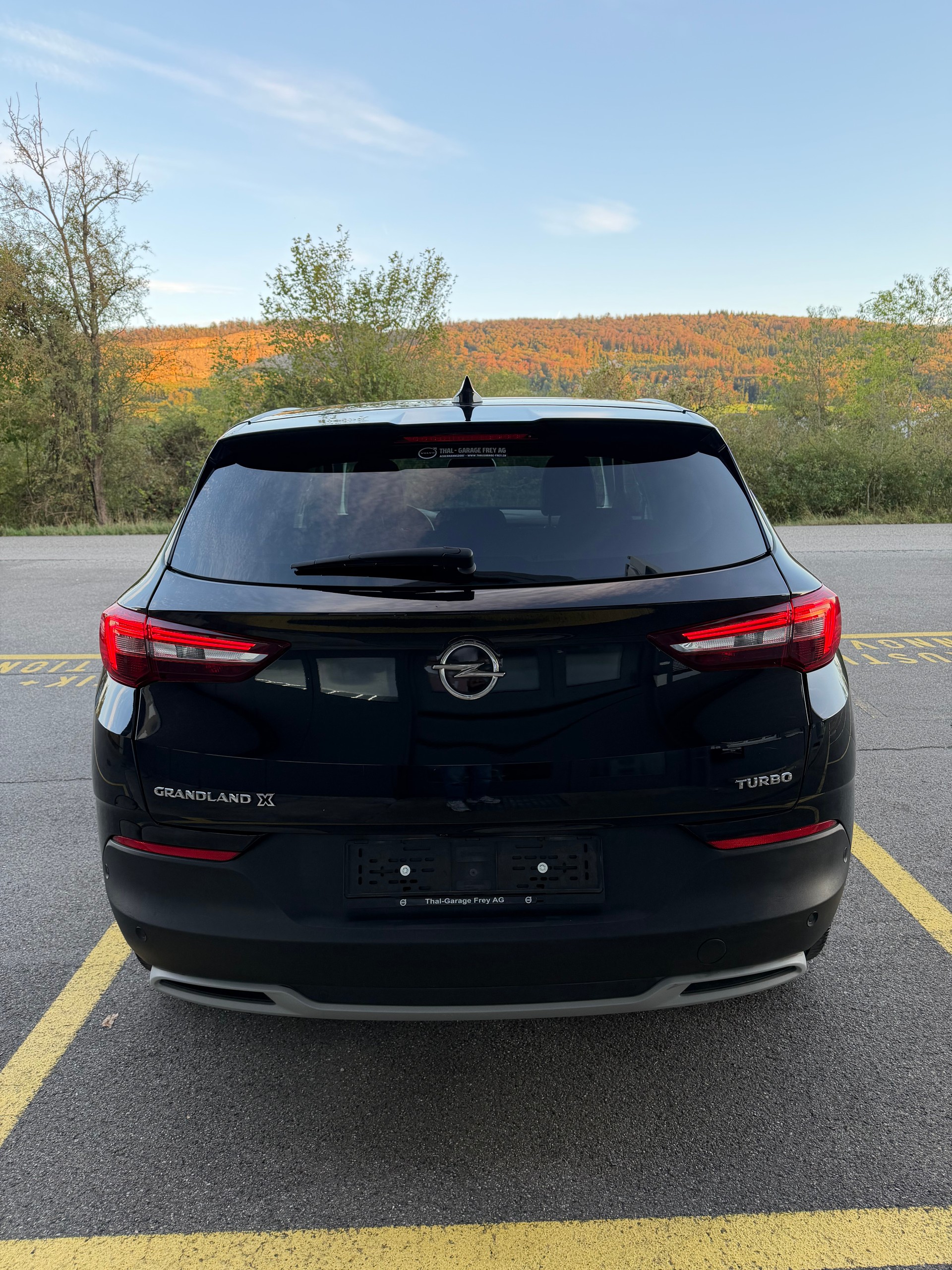 OPEL Grandland X 1.2i TP Grandland X-image-9