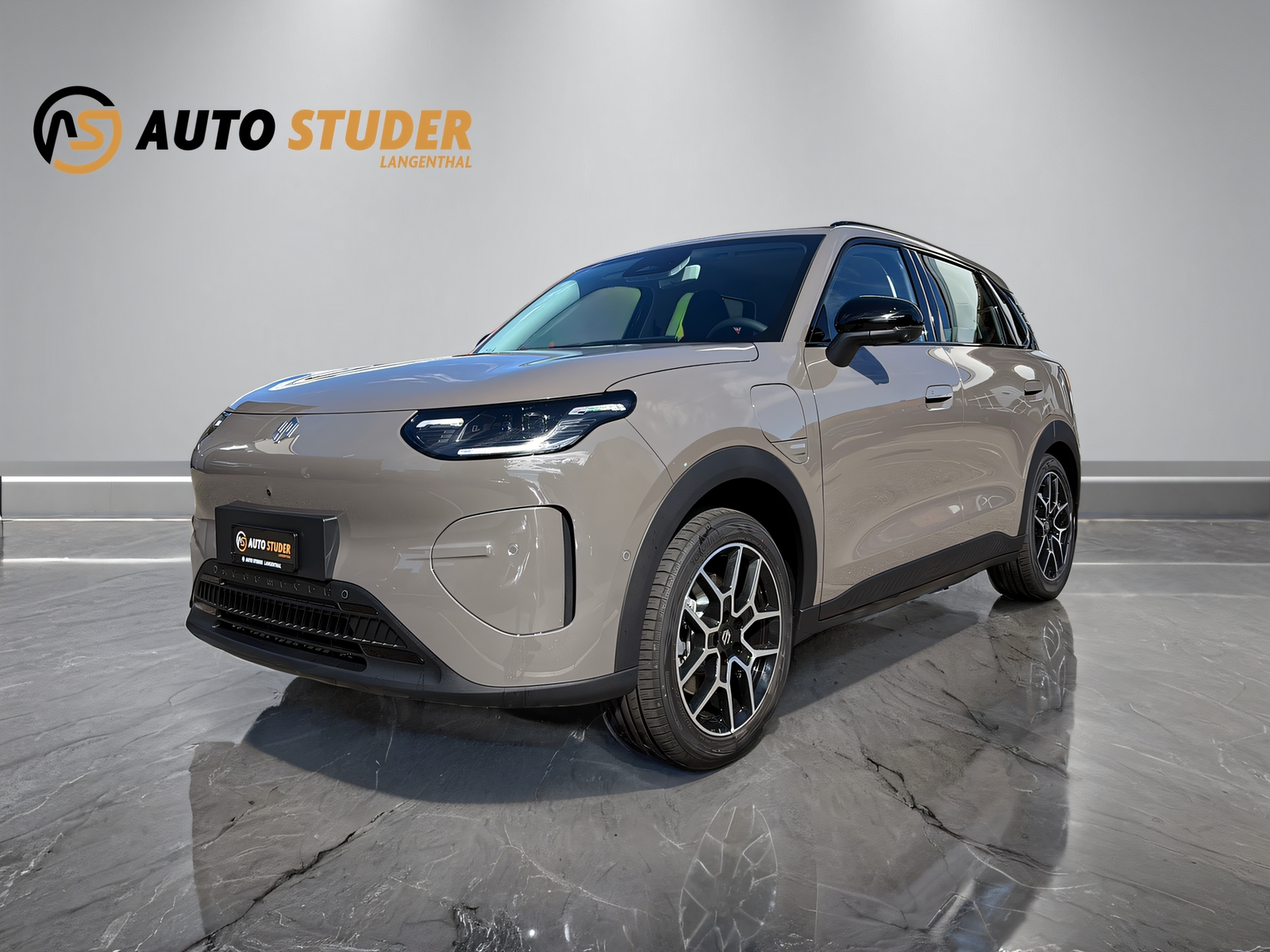 LEAPMOTOR B03X EV-showroom-element-1