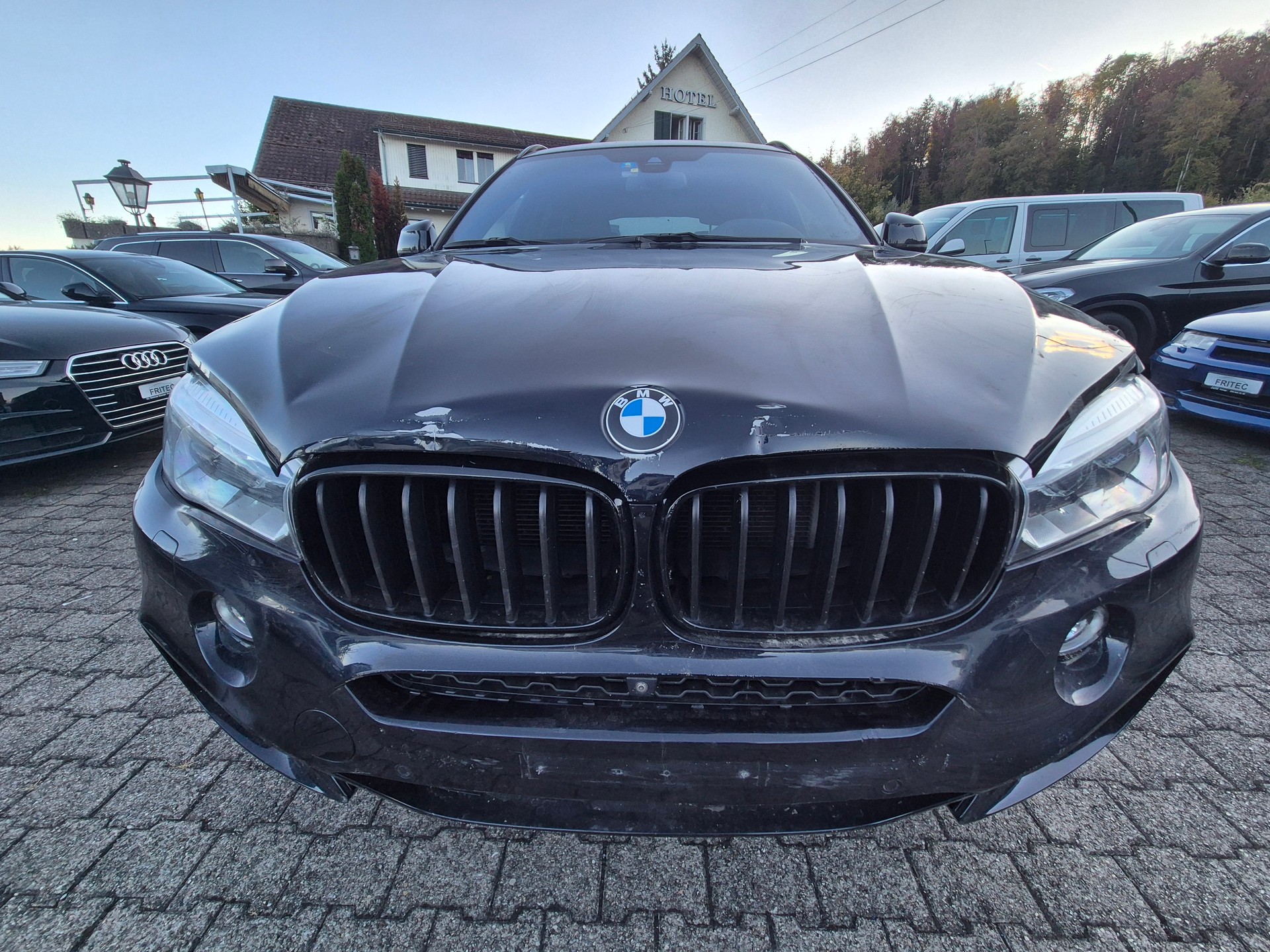 BMW X6 xDrive 40d Steptronic-image-2