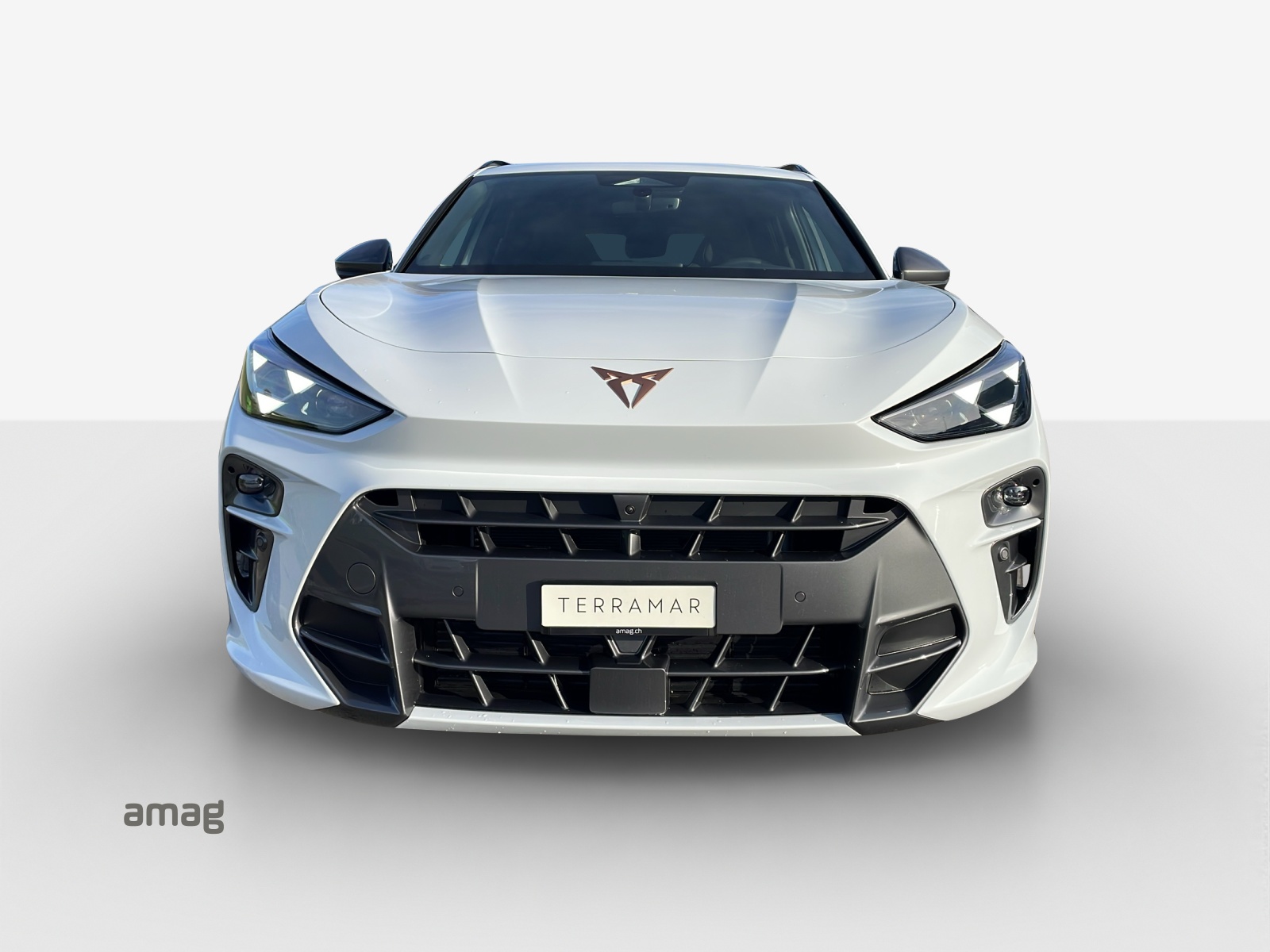 CUPRA Terramar 2.0 TSI DSG 4Drive VZ-image-6