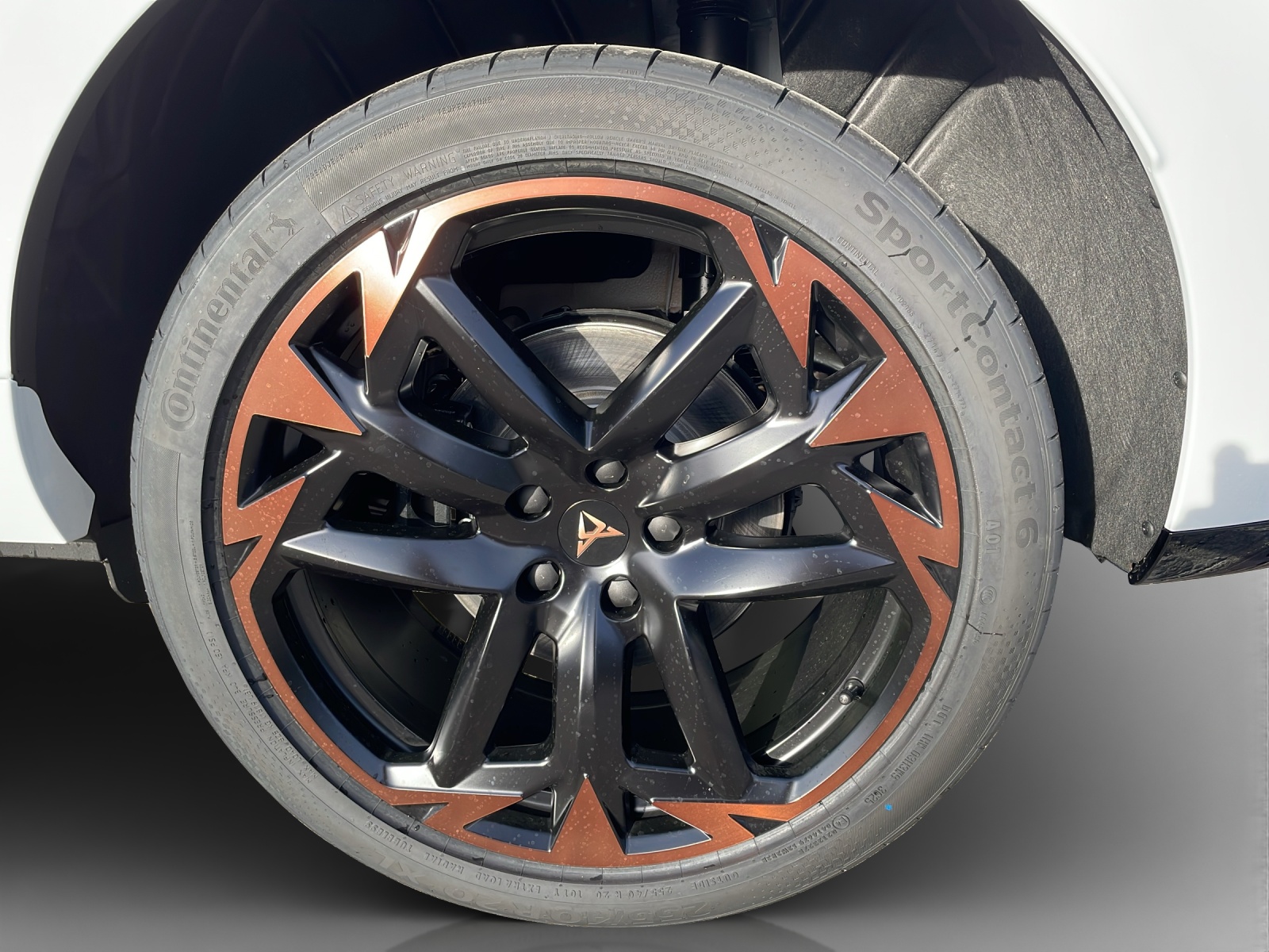 CUPRA Terramar 2.0 TSI DSG 4Drive VZ-image-14