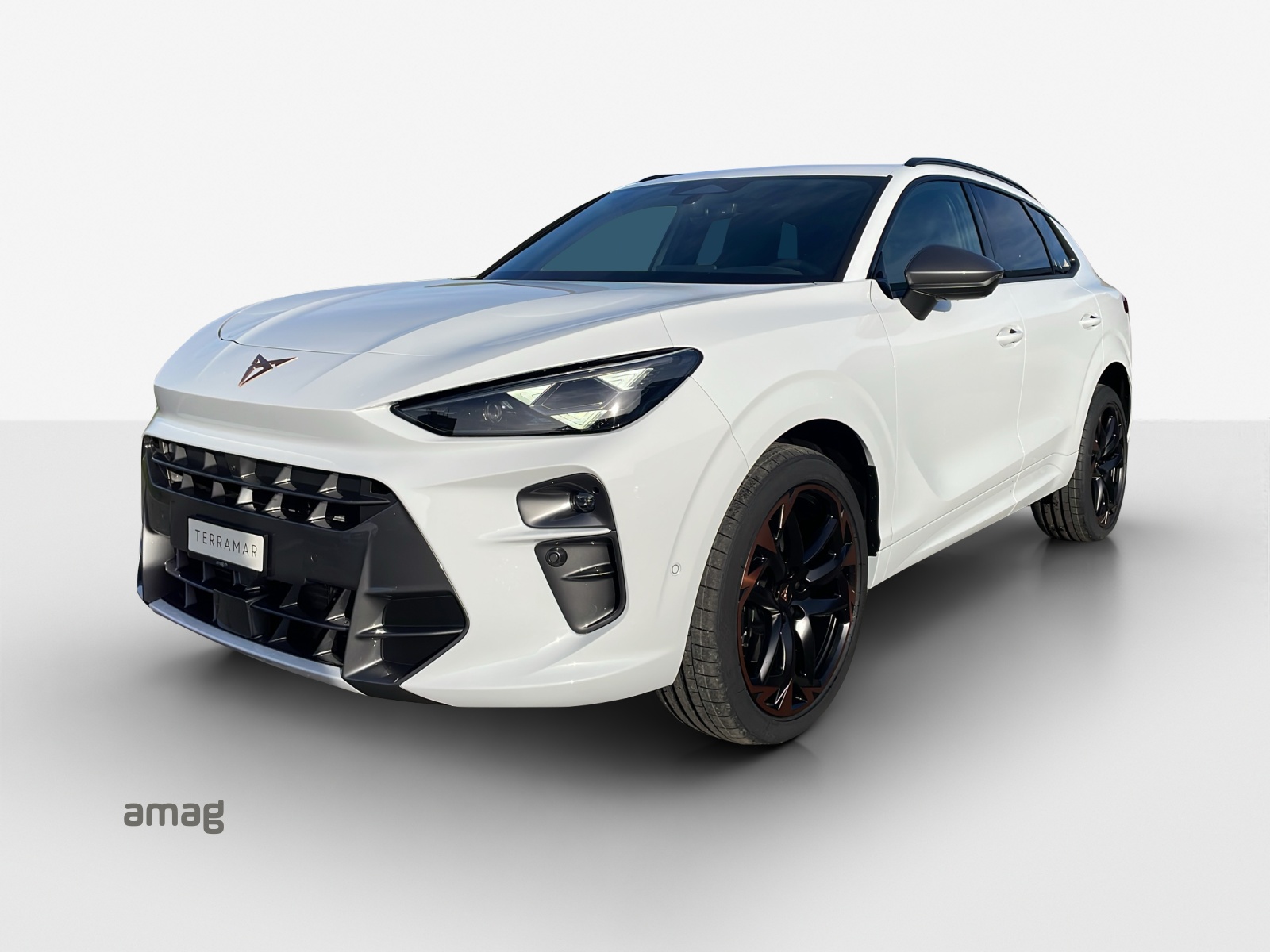CUPRA Terramar 2.0 TSI DSG 4Drive VZ-image-0