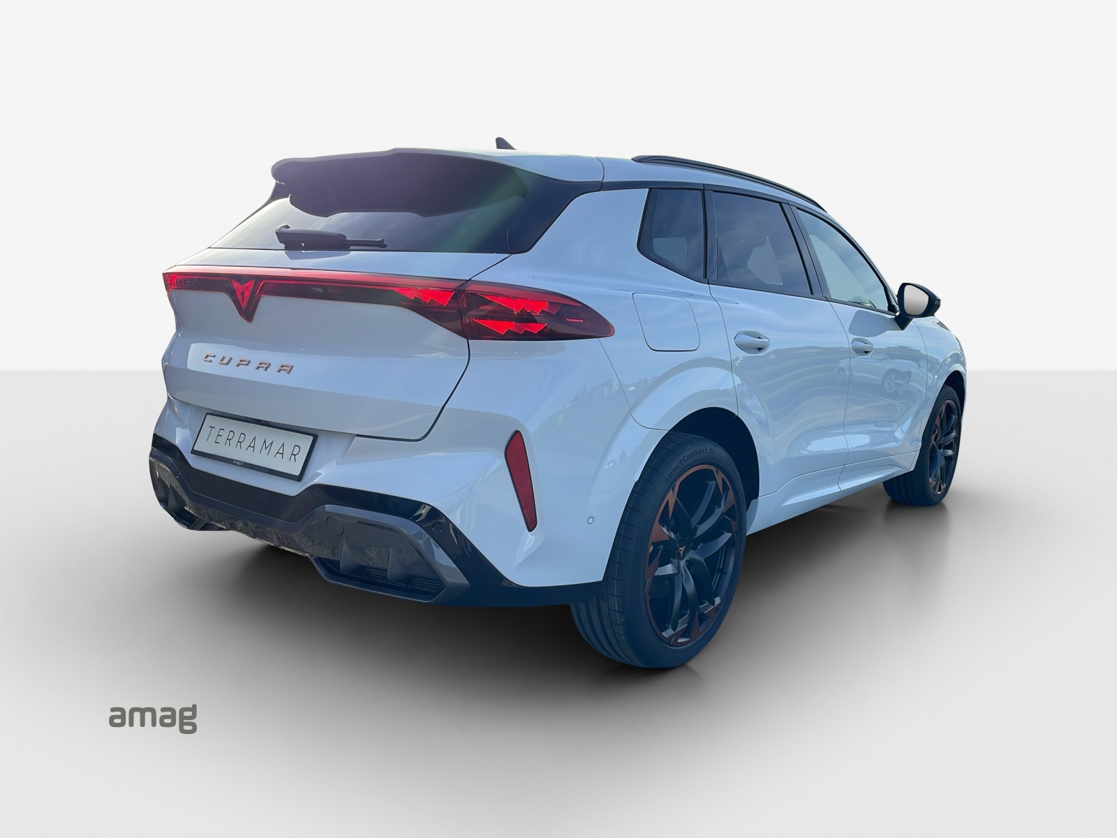 CUPRA Terramar 2.0 TSI DSG 4Drive VZ-image-4