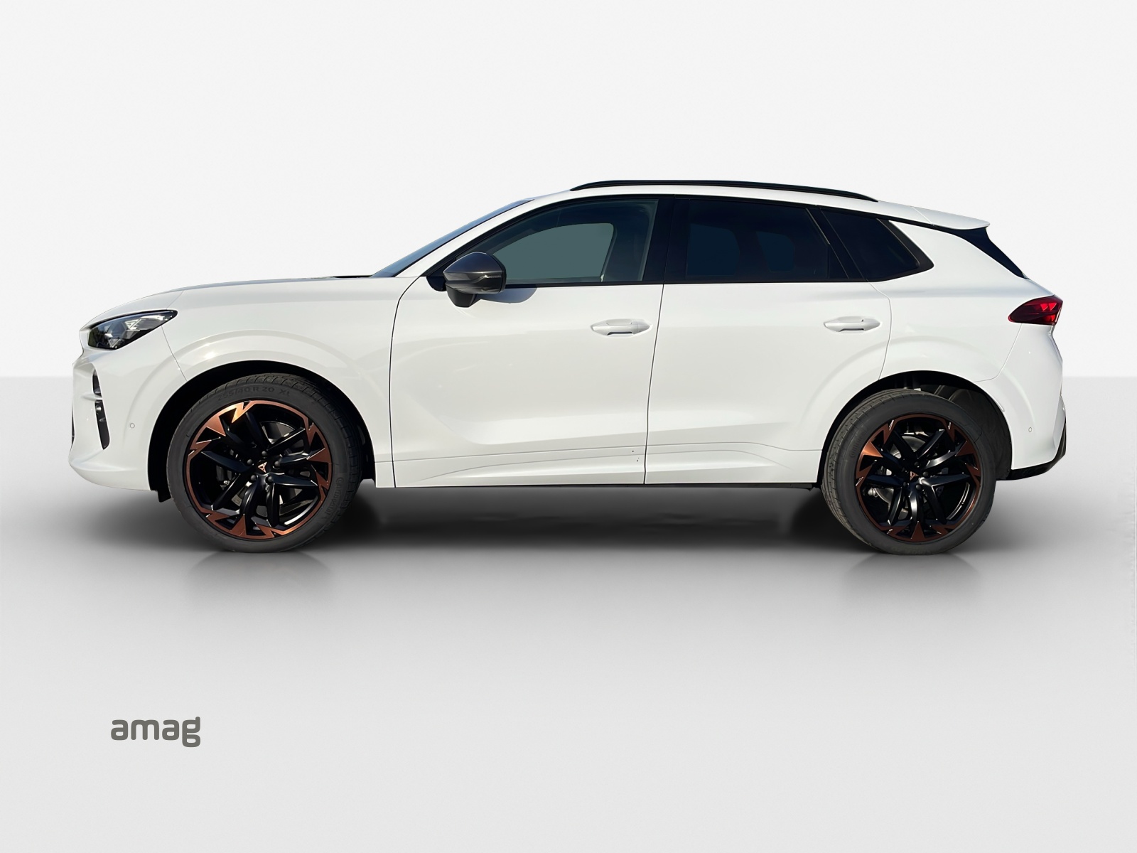 CUPRA Terramar 2.0 TSI DSG 4Drive VZ-image-1