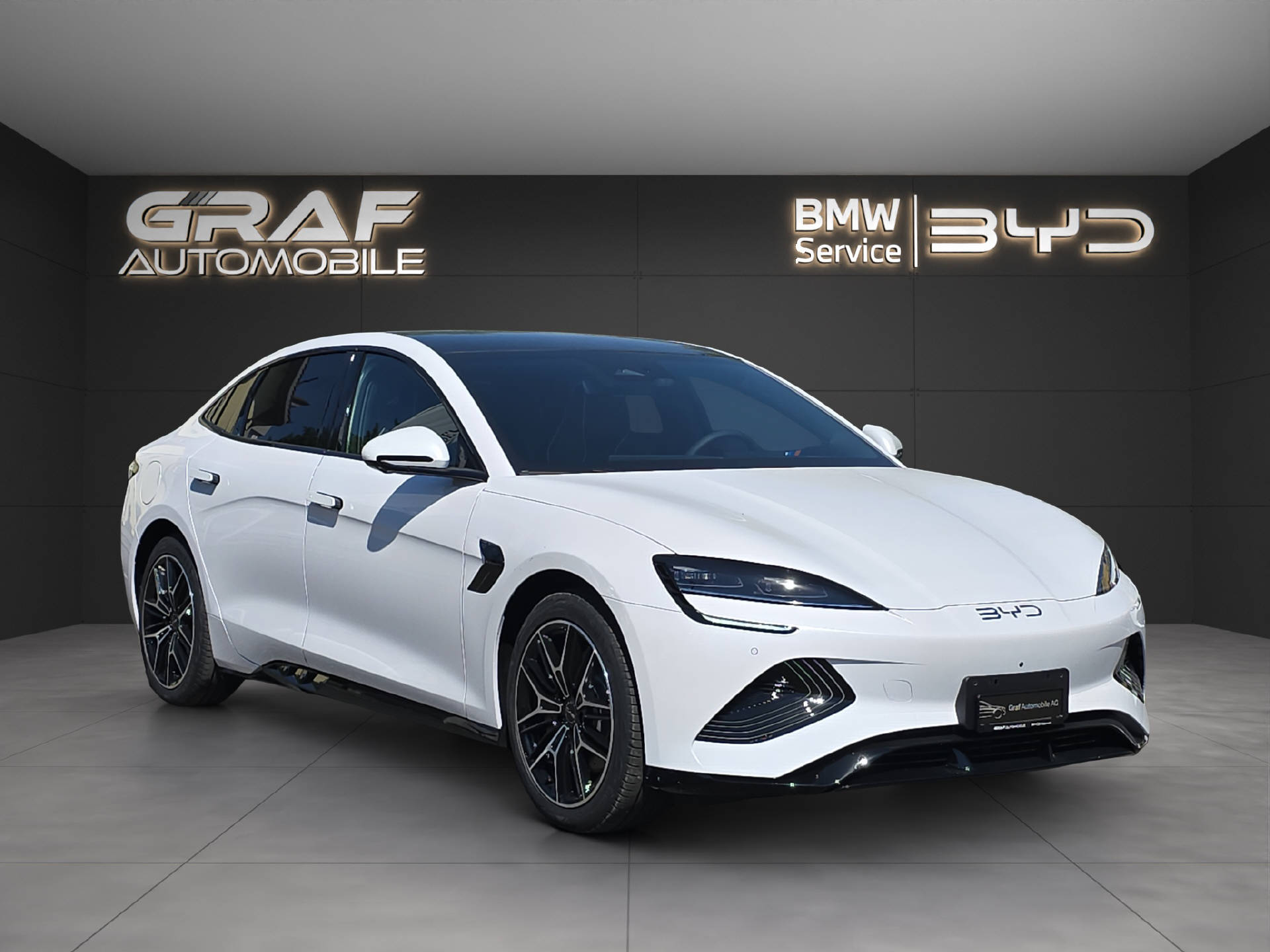 BYD Seal Excellence-image-2