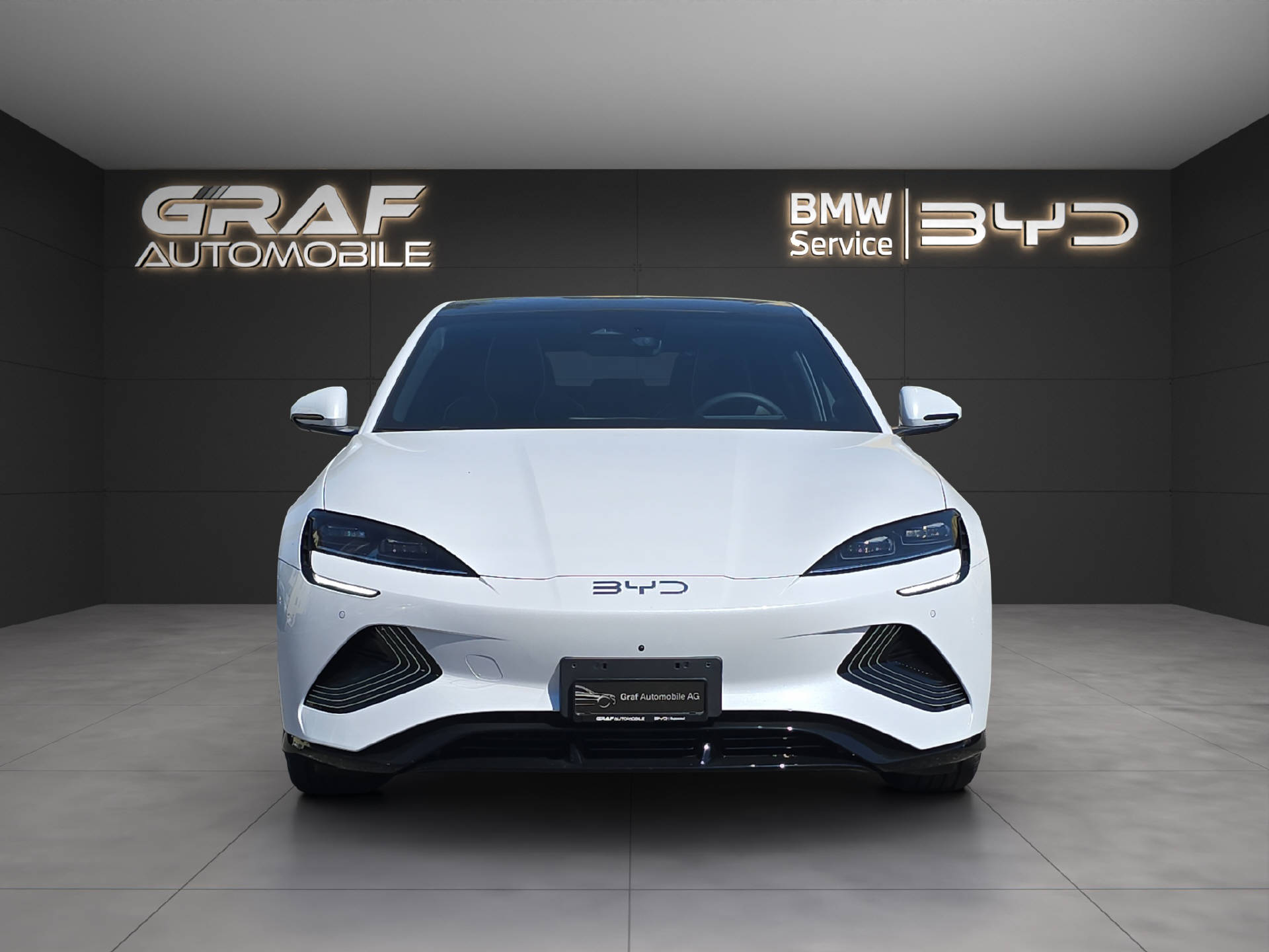 BYD Seal Excellence-image-1