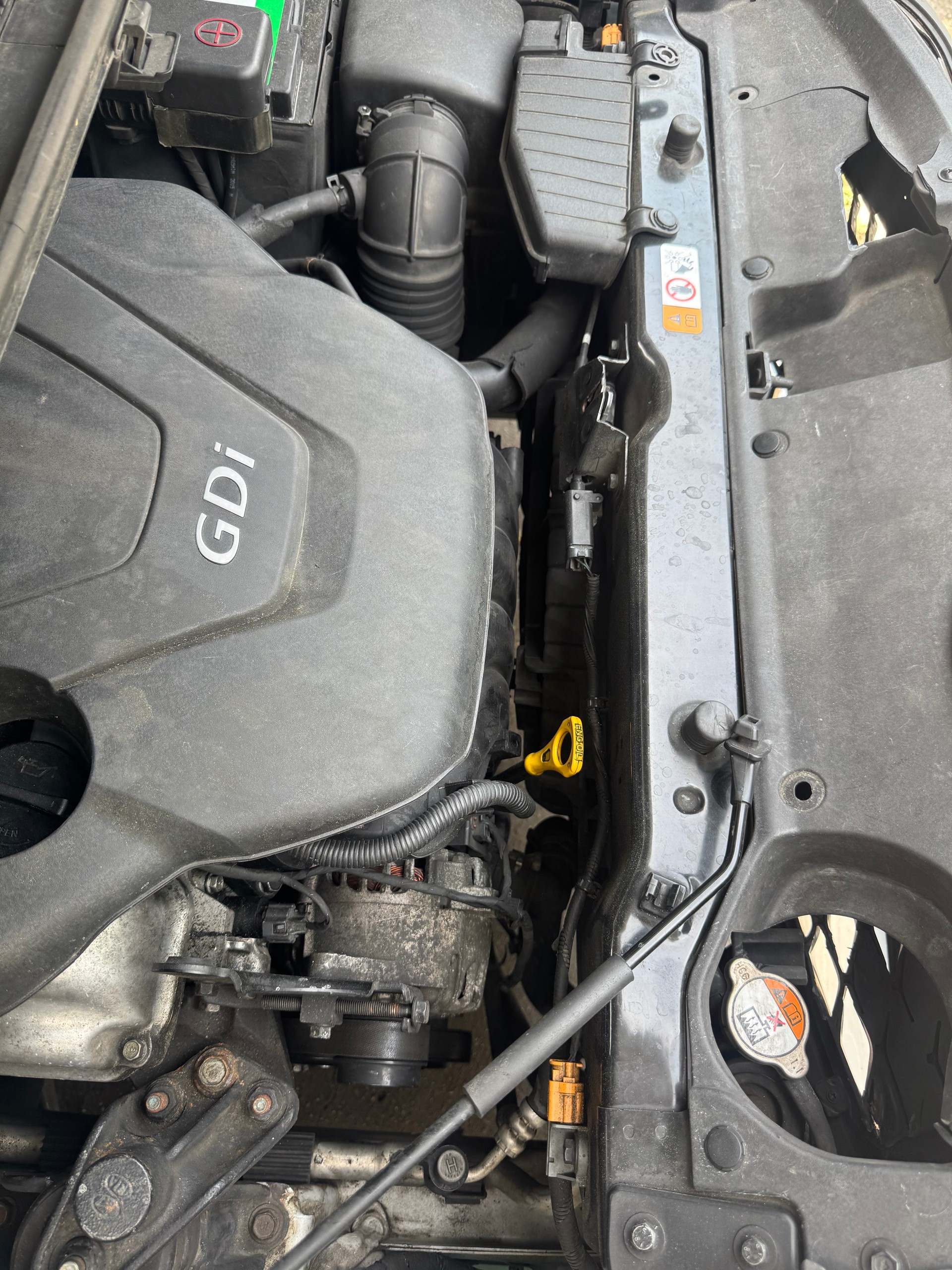 KIA Carens 1.6 GDI Swiss Eco Edition-image-12