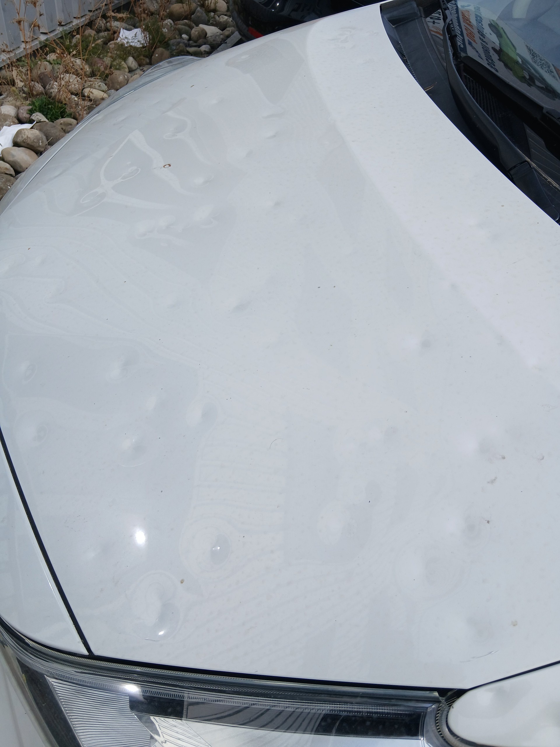 TOYOTA Prius+ 1.8 VVT-i HSD Comfort-image-15